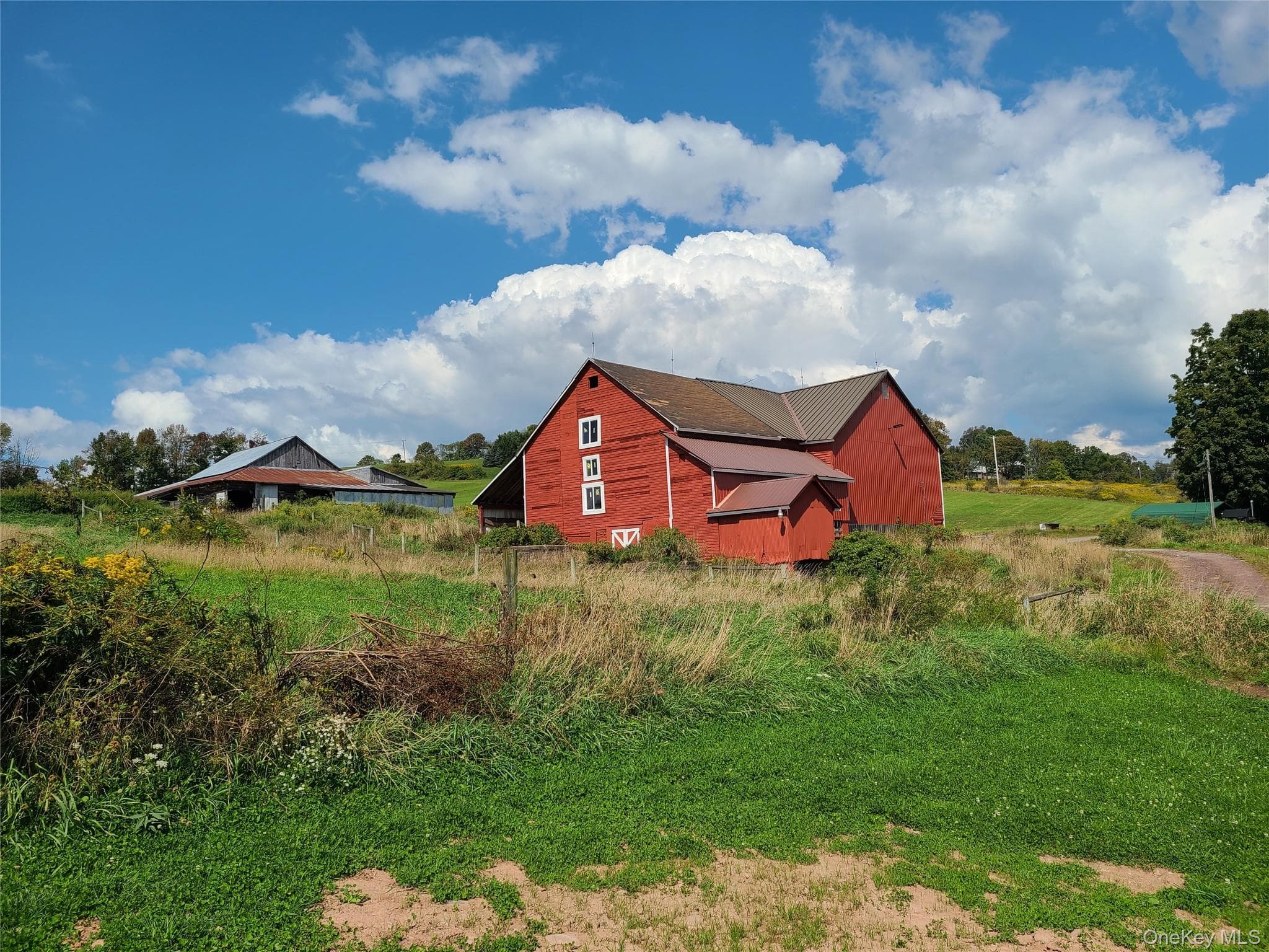 356 Gabel Road thumbnail 11
