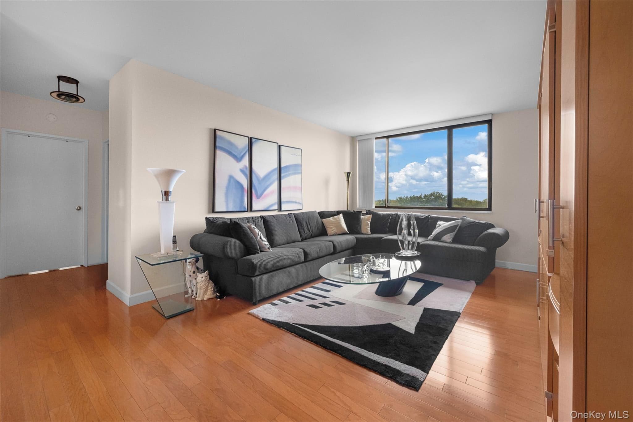269-10 Grand Central Parkway Unit: 8P thumbnail 10