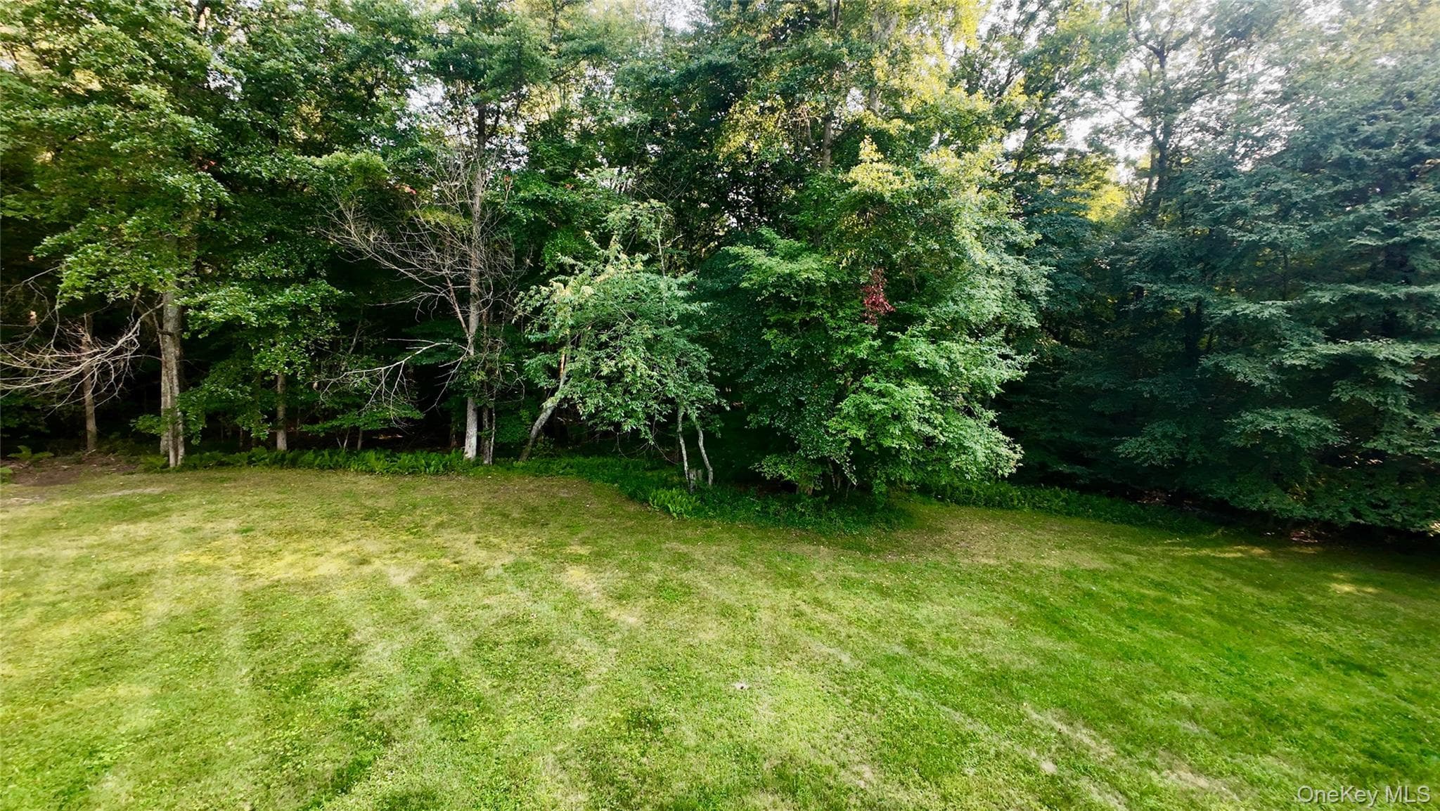 109 White Birch Lane thumbnail 5