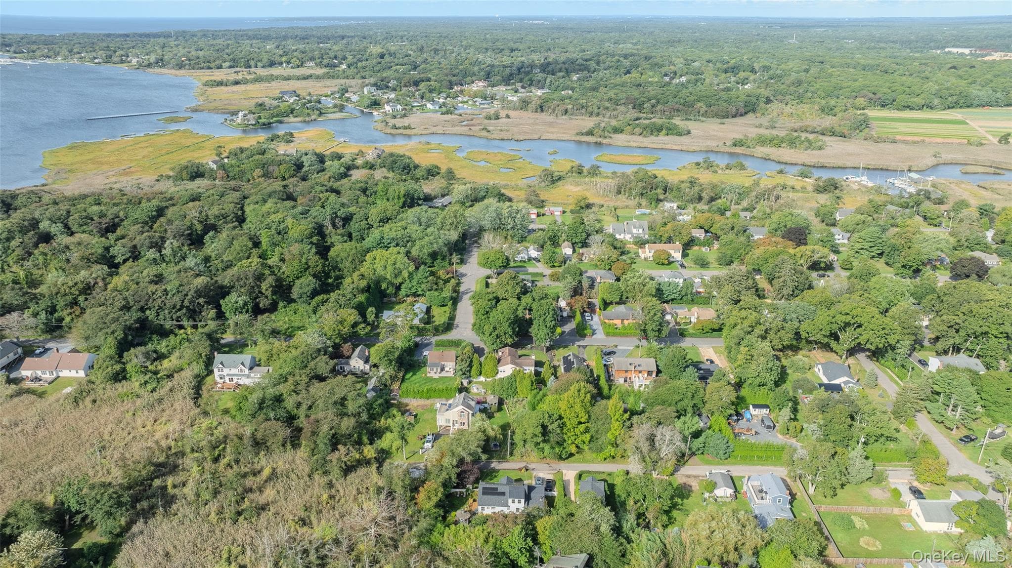43 Astor Avenue thumbnail 37