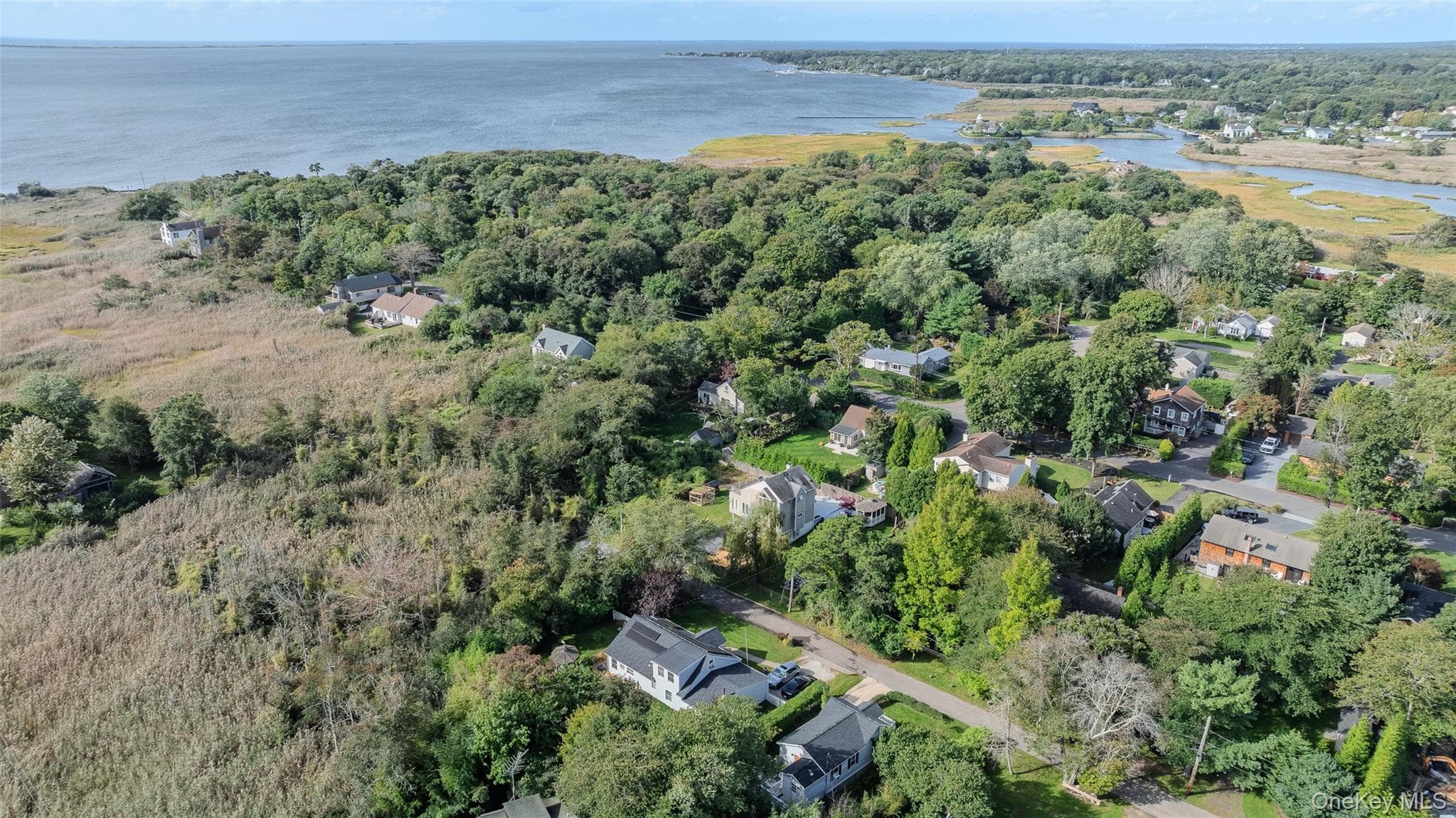 43 Astor Avenue thumbnail 36