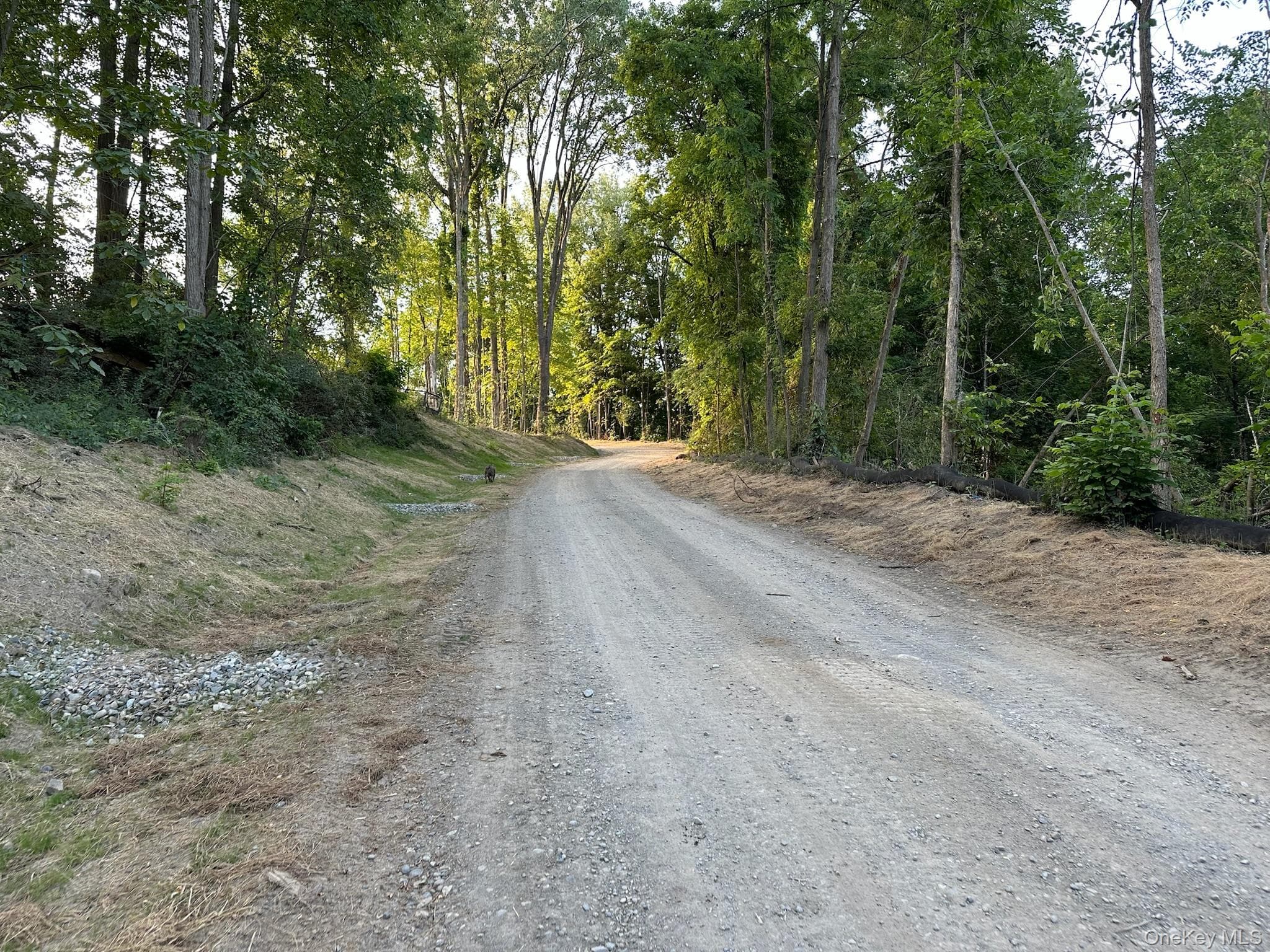 49 Veterans Road thumbnail 15