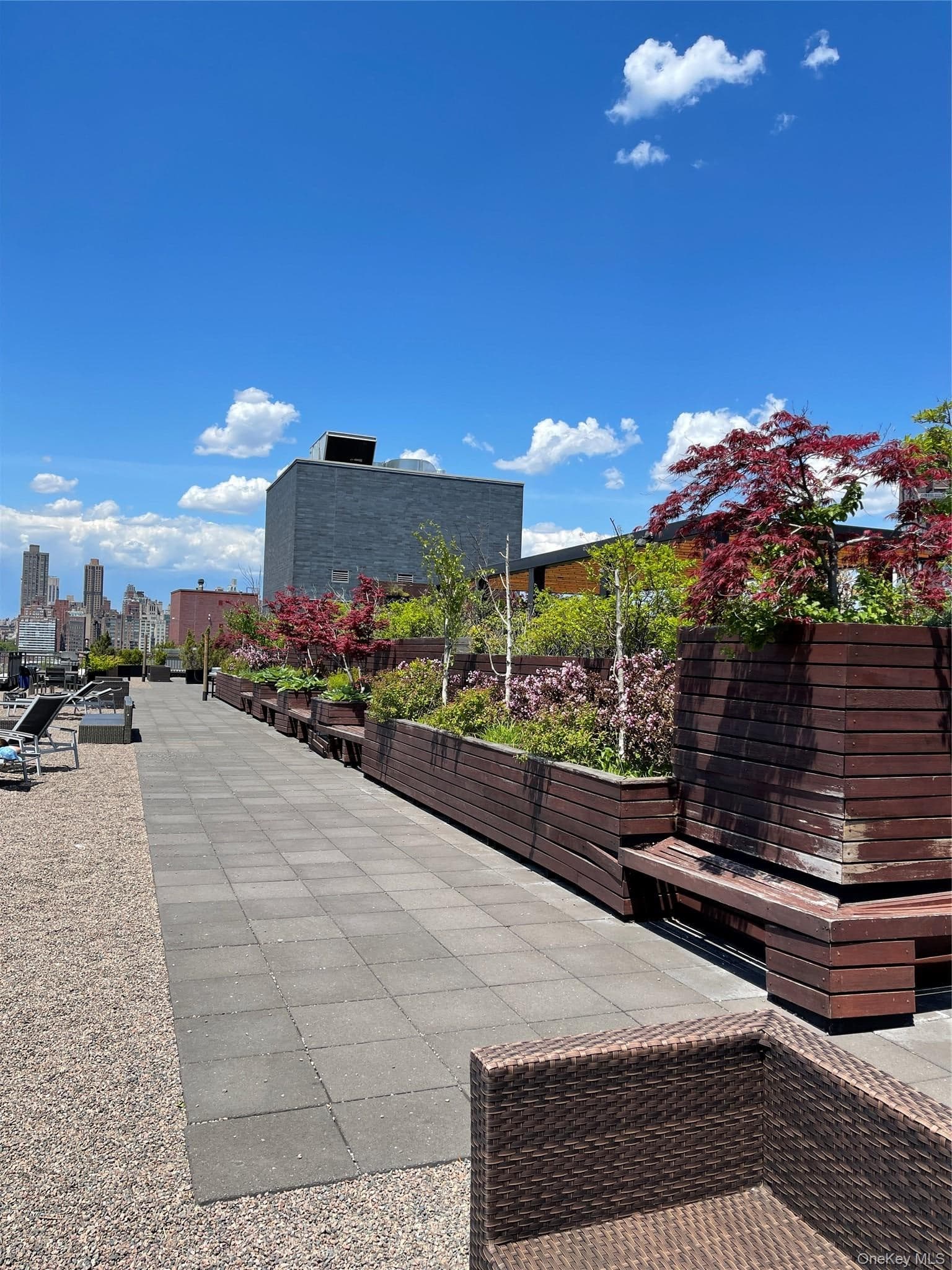 1215 Broadway Unit: 603 thumbnail 12