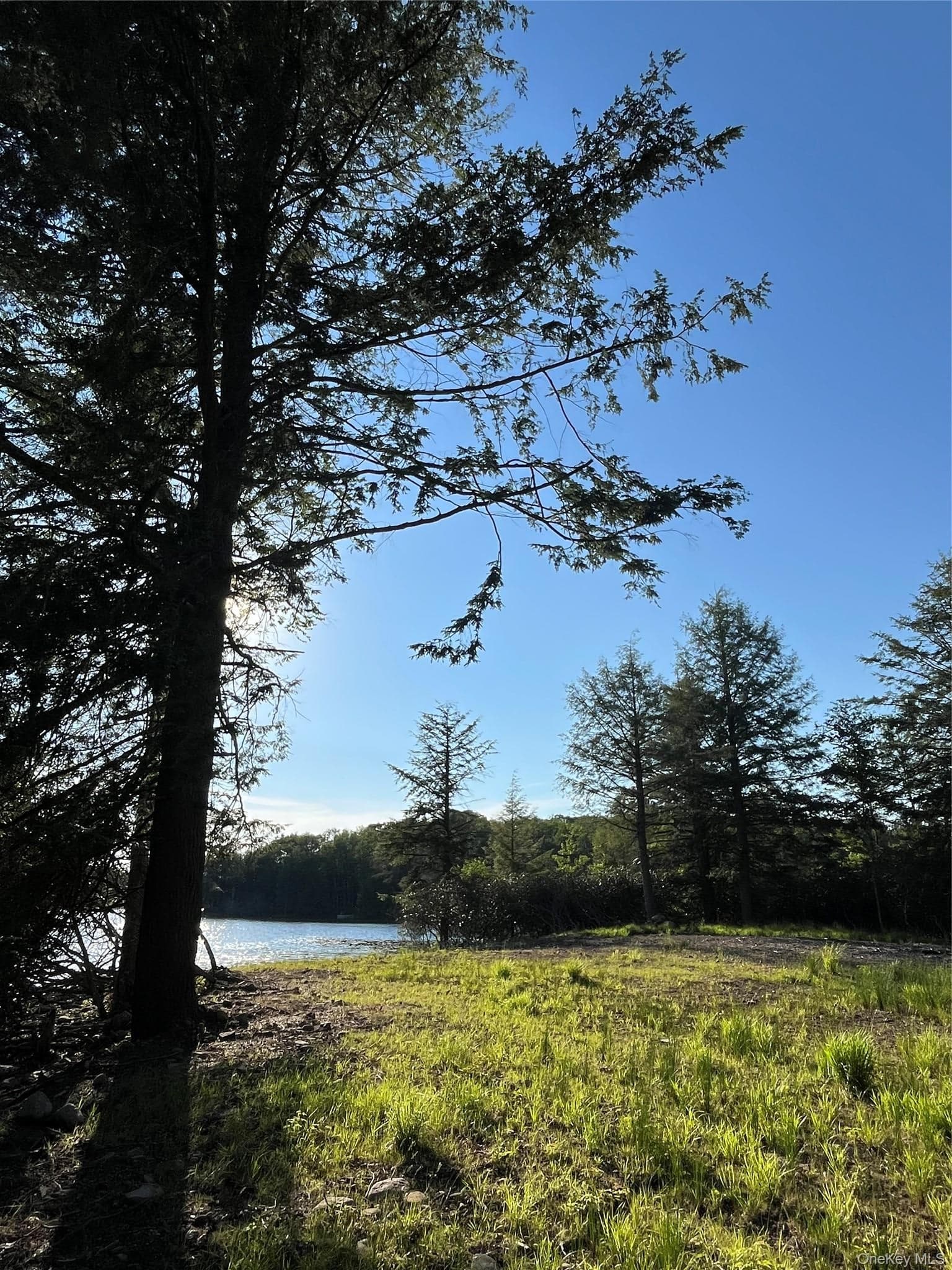 47 Eagles Ridge Way thumbnail 11