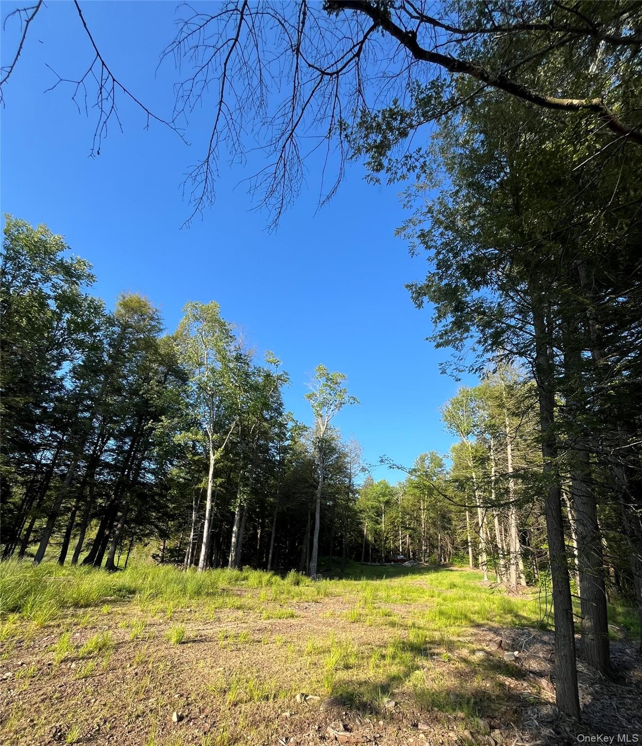 47 Eagles Ridge Way thumbnail 10