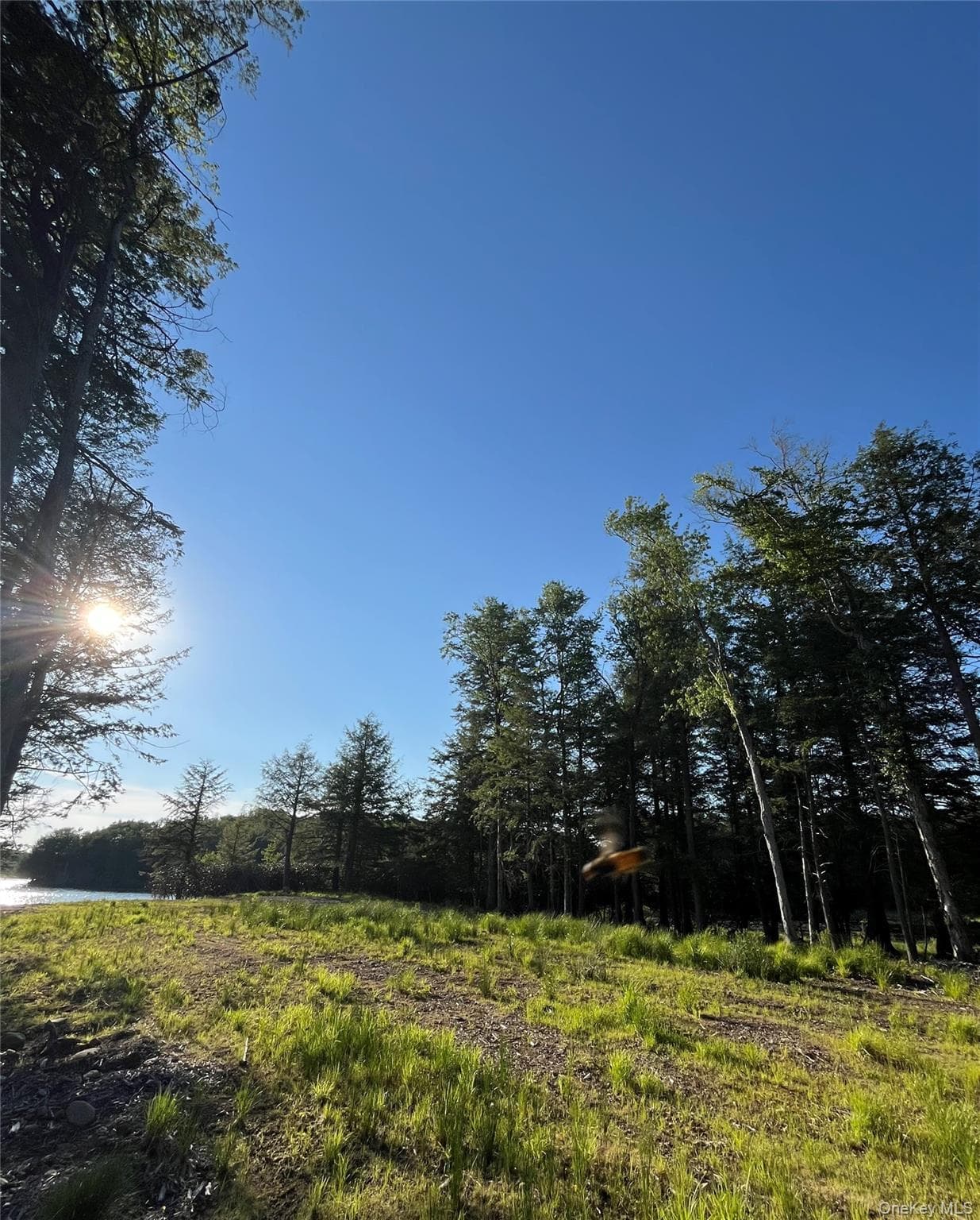47 Eagles Ridge Way thumbnail 13