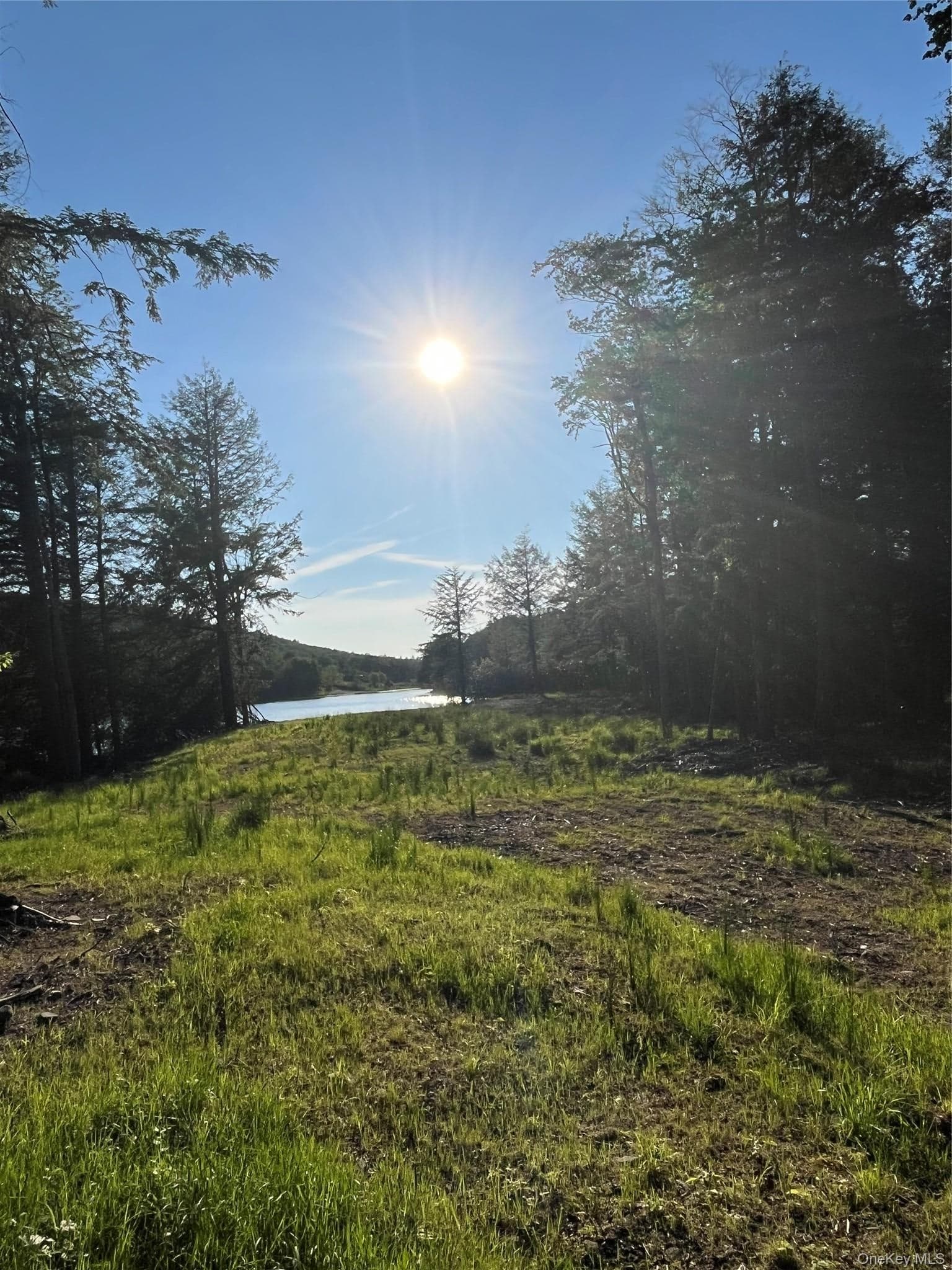 47 Eagles Ridge Way thumbnail 16