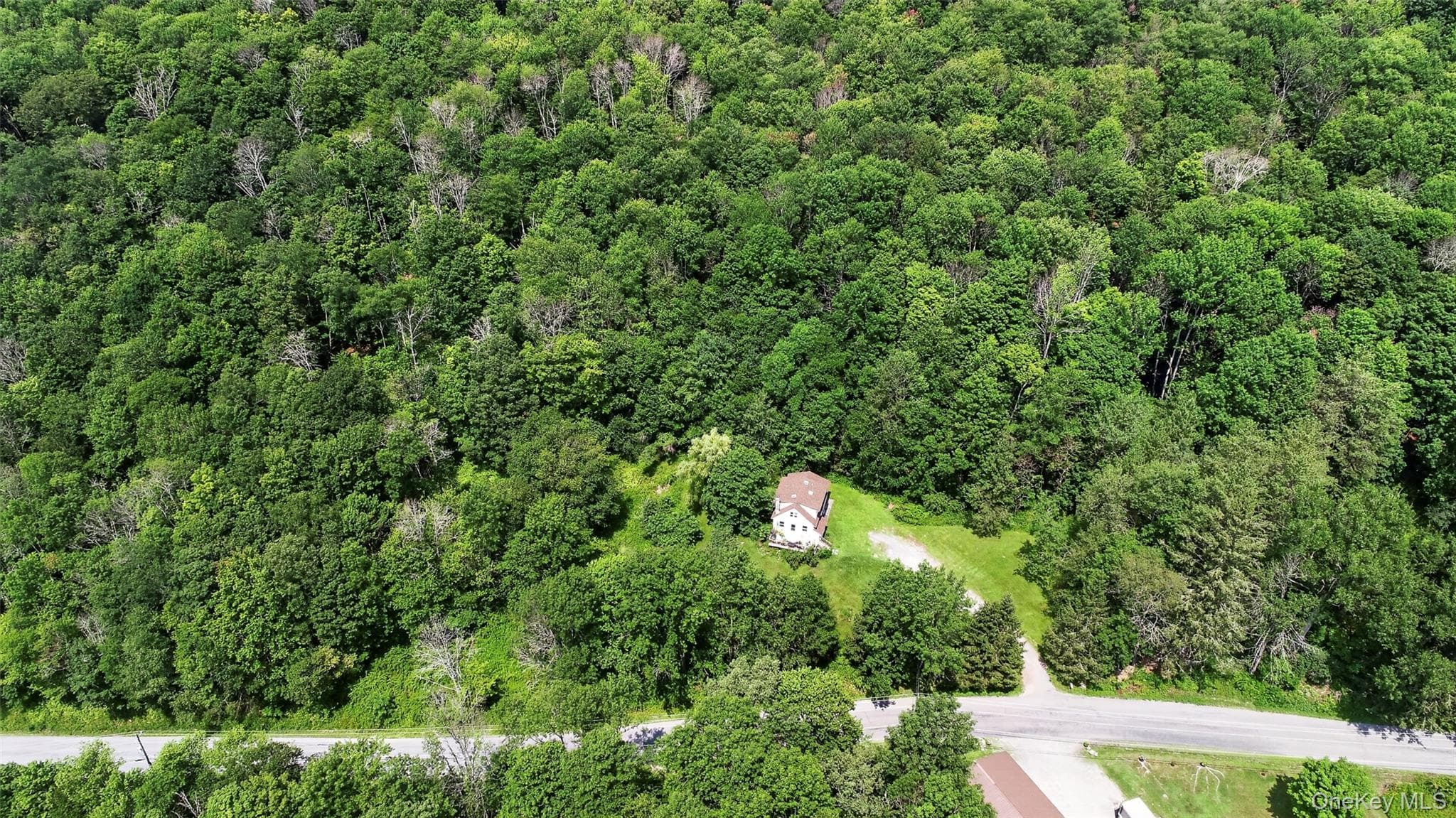 TDB White Roe Lake Road thumbnail 4