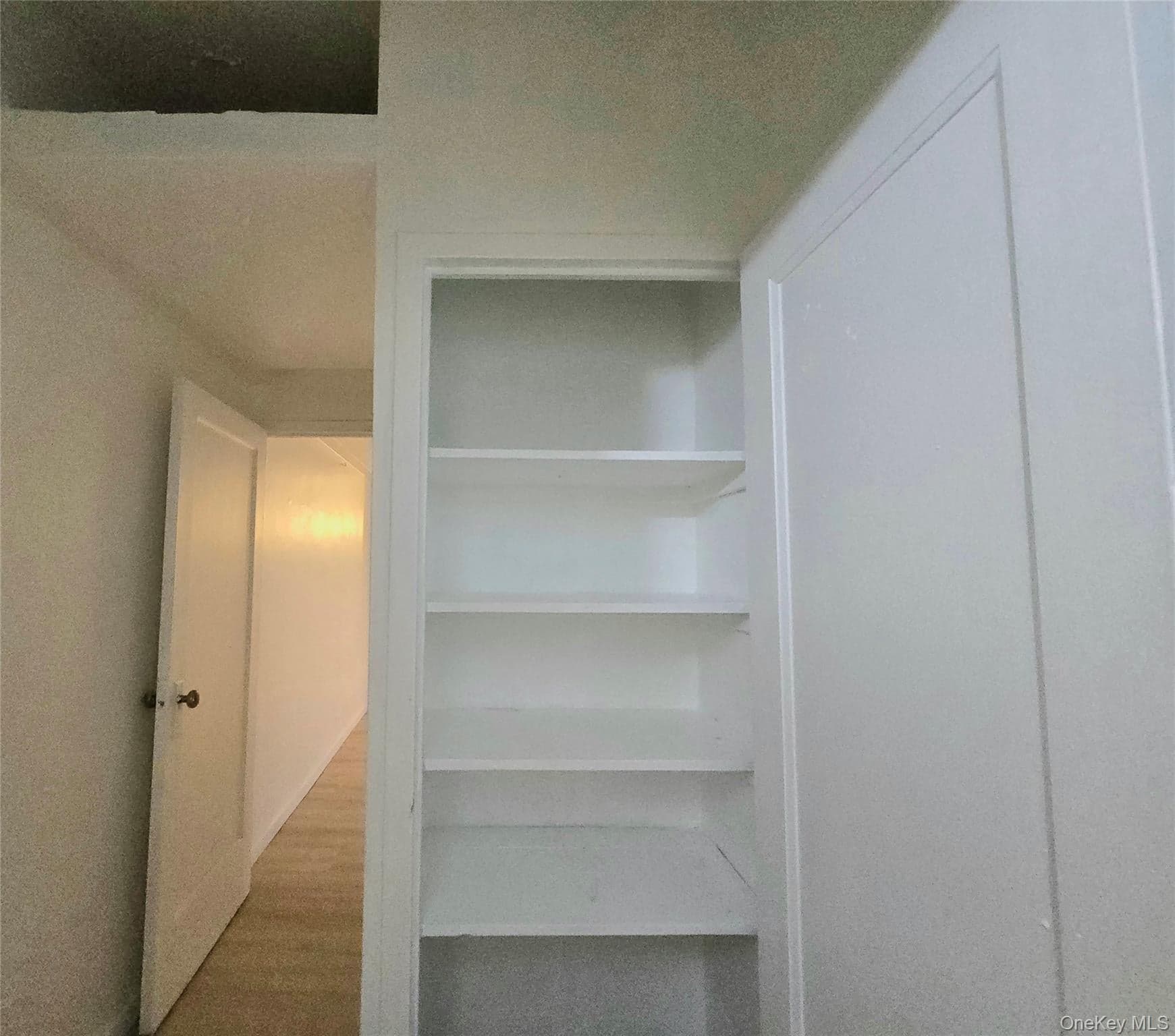 2059 Mcgraw Avenue Unit: 5C thumbnail 6