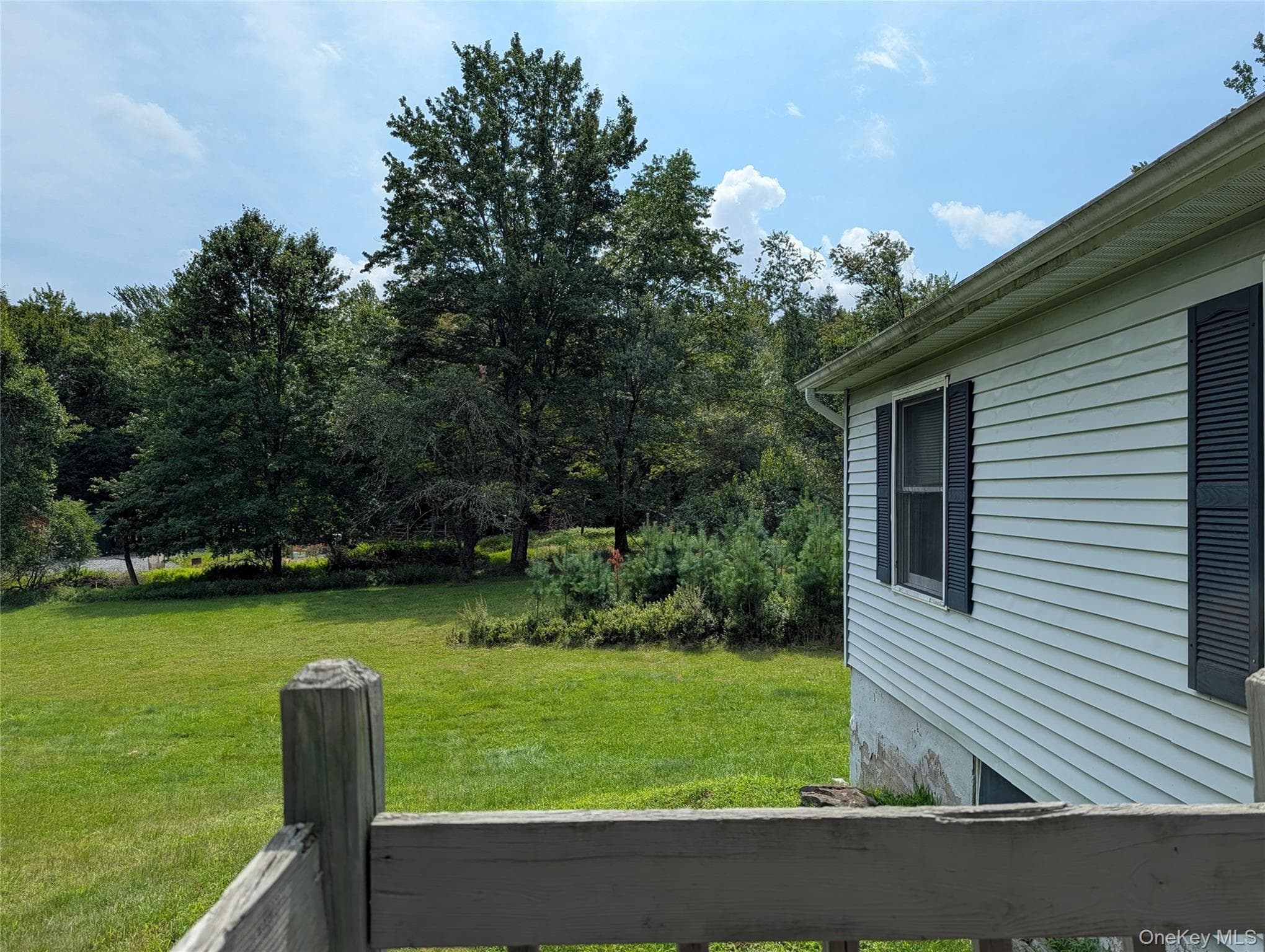 77 Murphy Road thumbnail 4