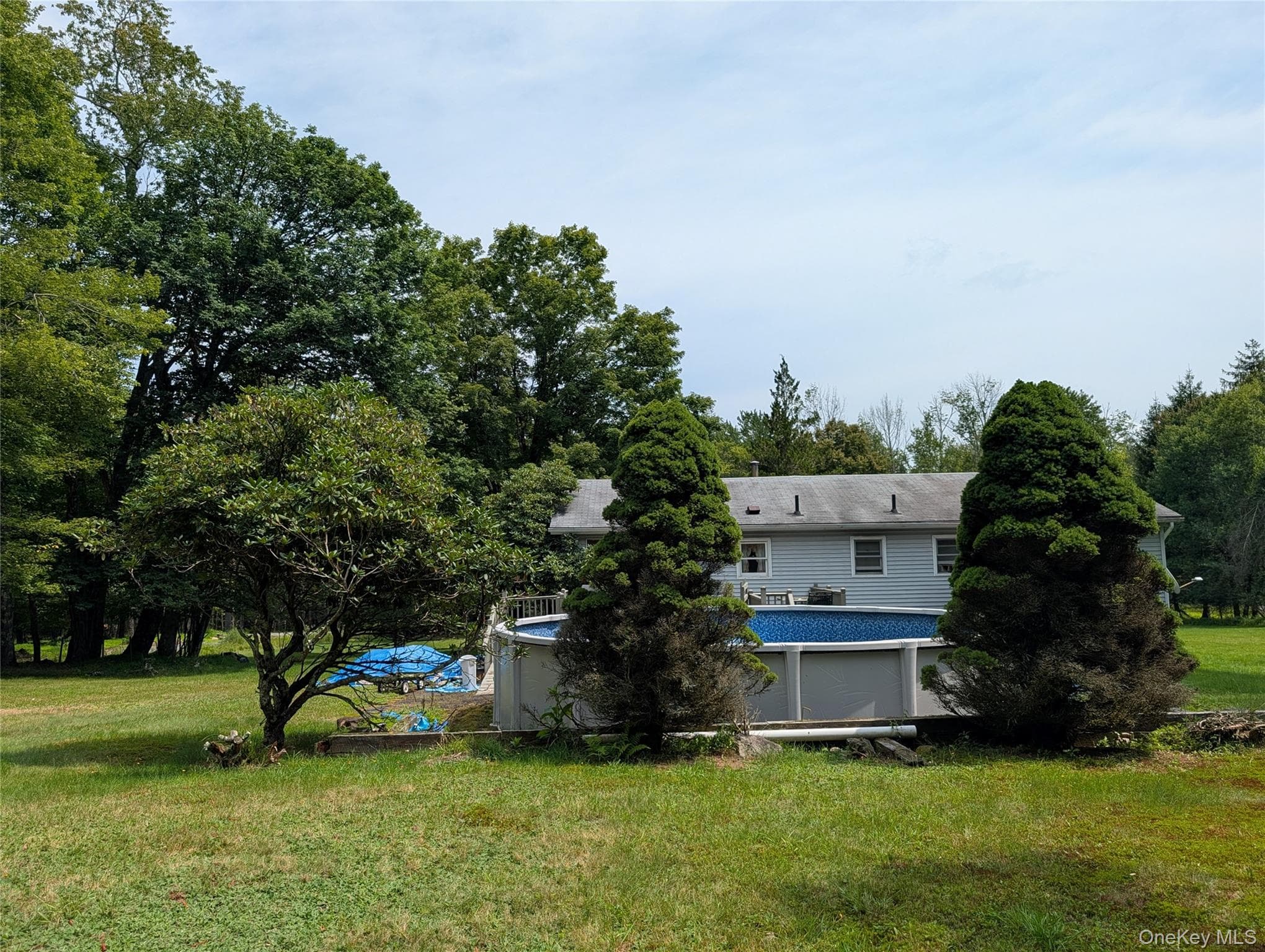 77 Murphy Road thumbnail 24