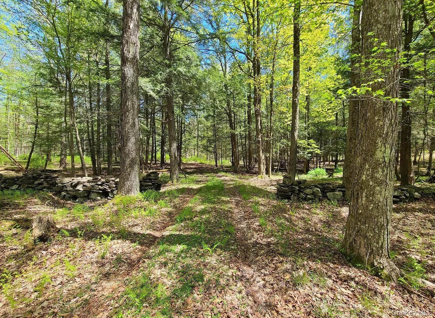 Lot 4 Deer Meadow Road thumbnail 2