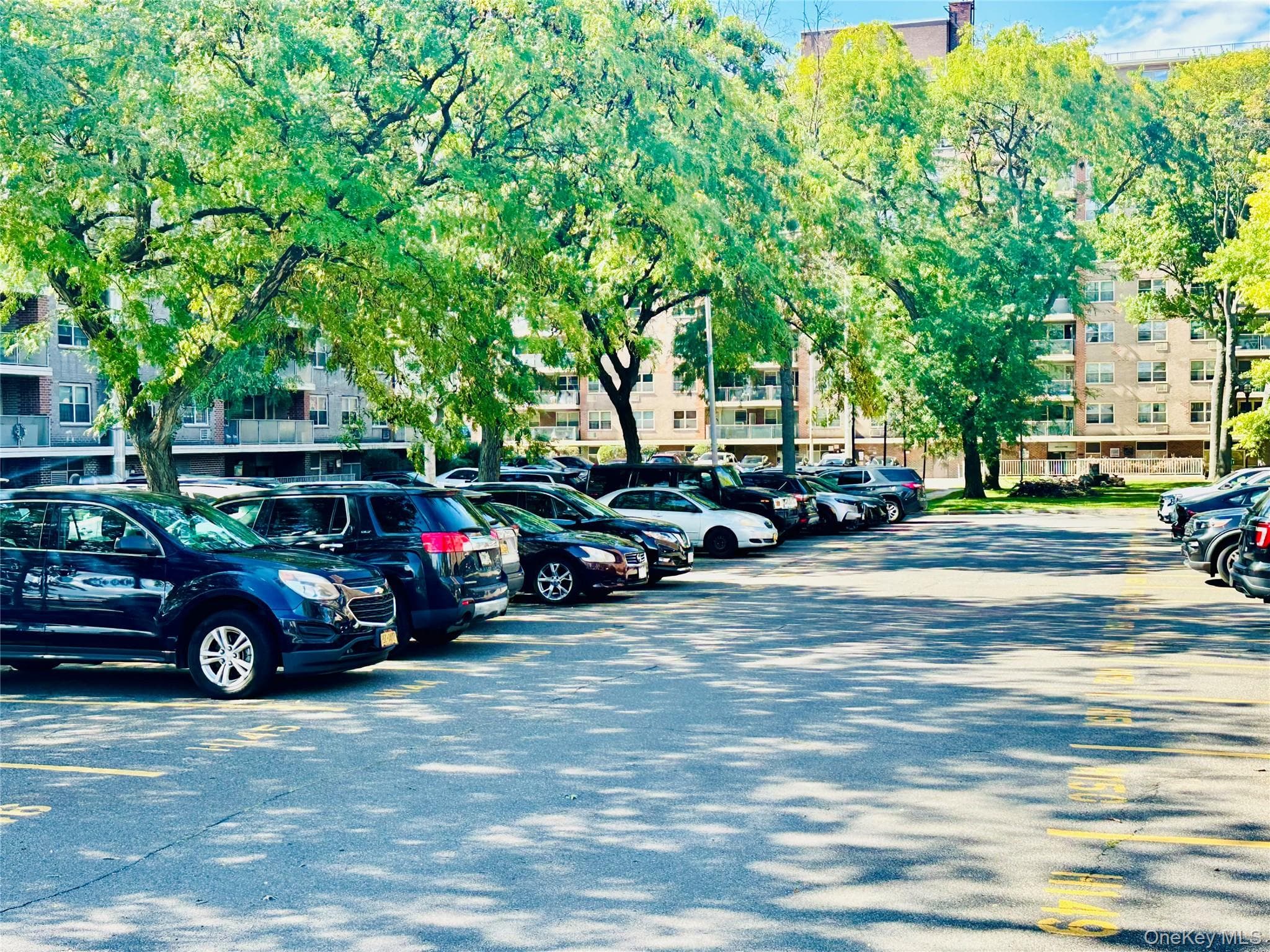 12399 Flatlands Avenue AVE Unit: 8K thumbnail 16