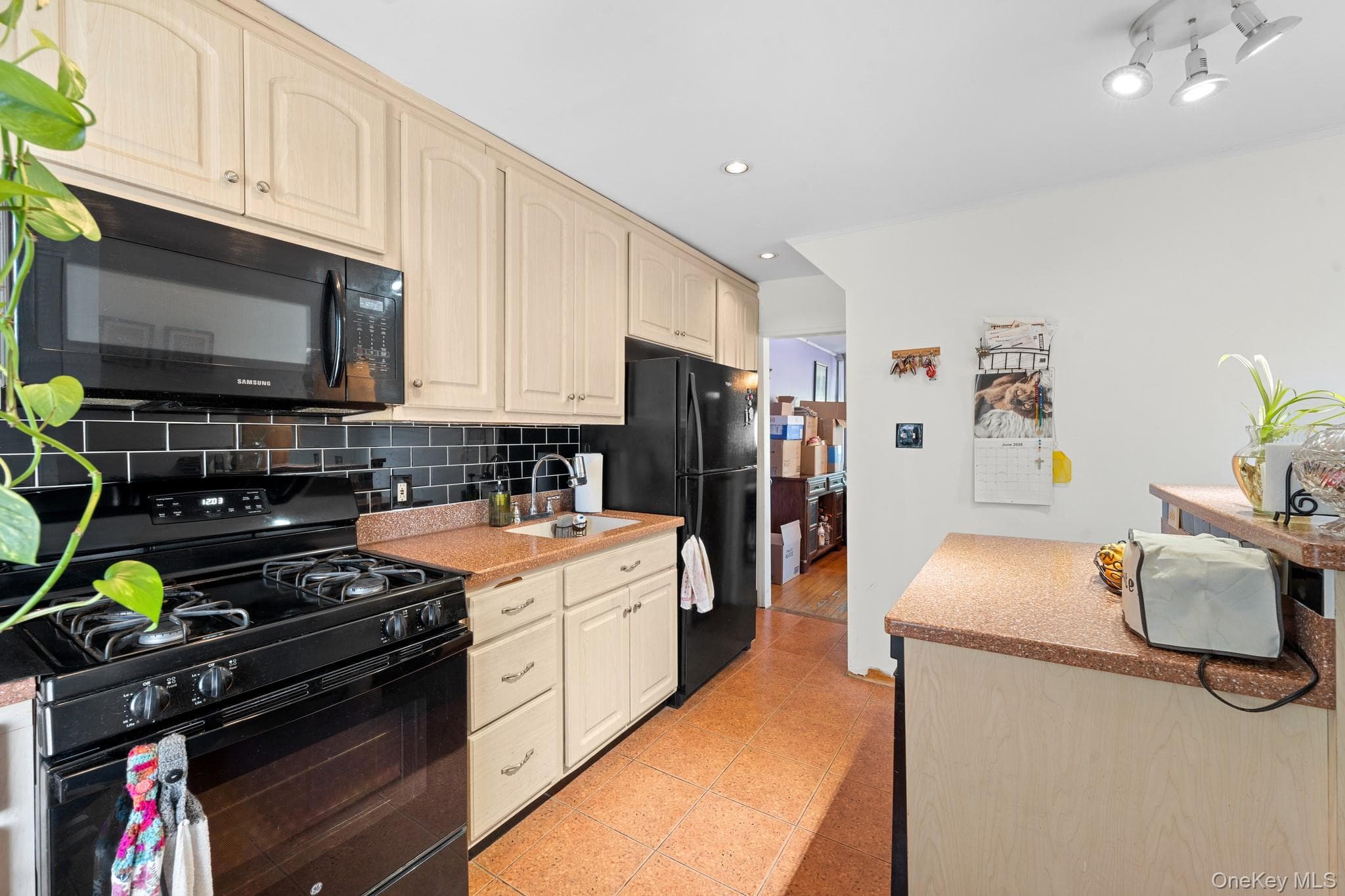 1511 E 51st Street thumbnail 14