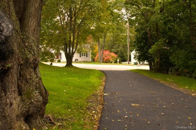 11 Everett Road thumbnail 26