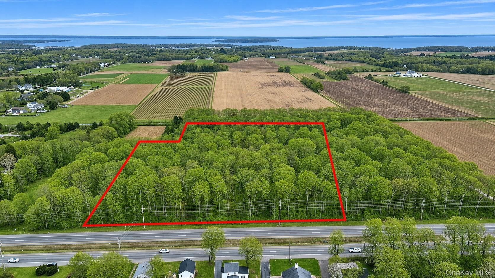 15690 County Road 48 photo 1