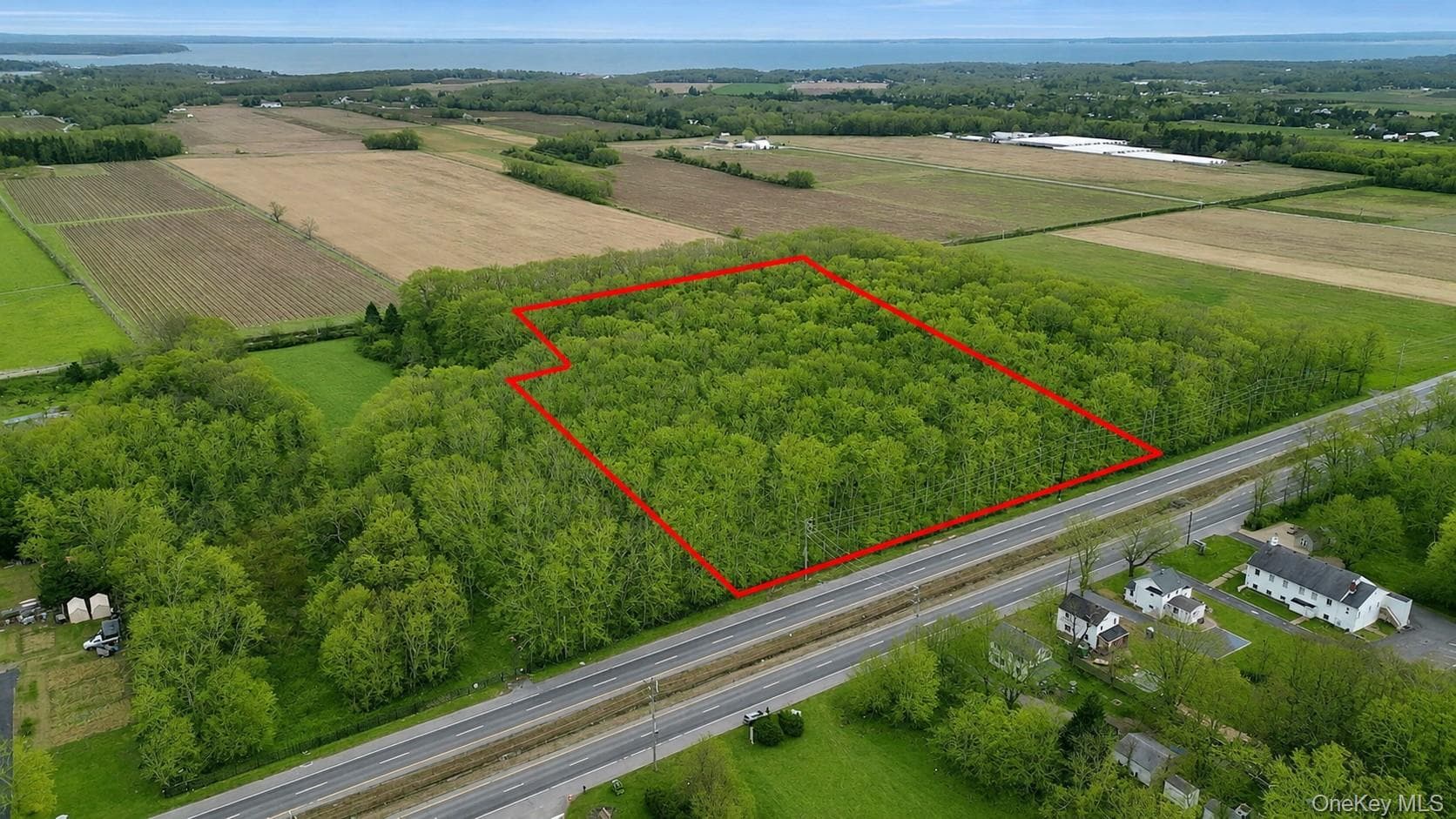 15690 County Road 48 thumbnail 3