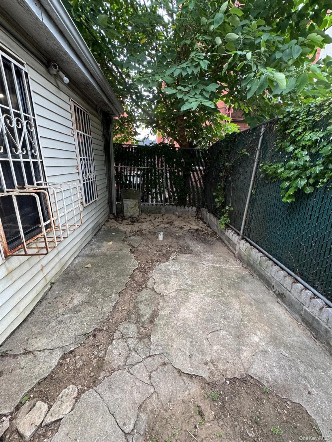 590 Elton Street thumbnail 7