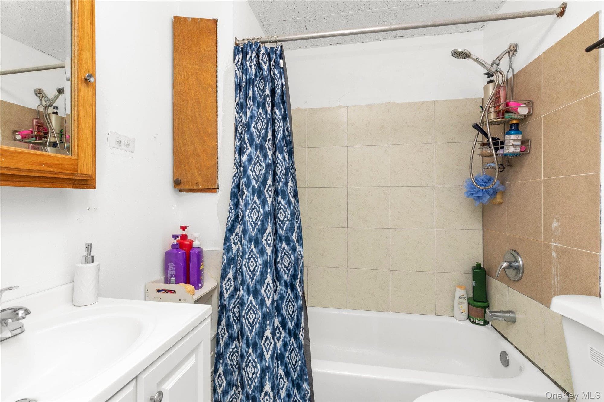 343 Roslyn Avenue thumbnail 17