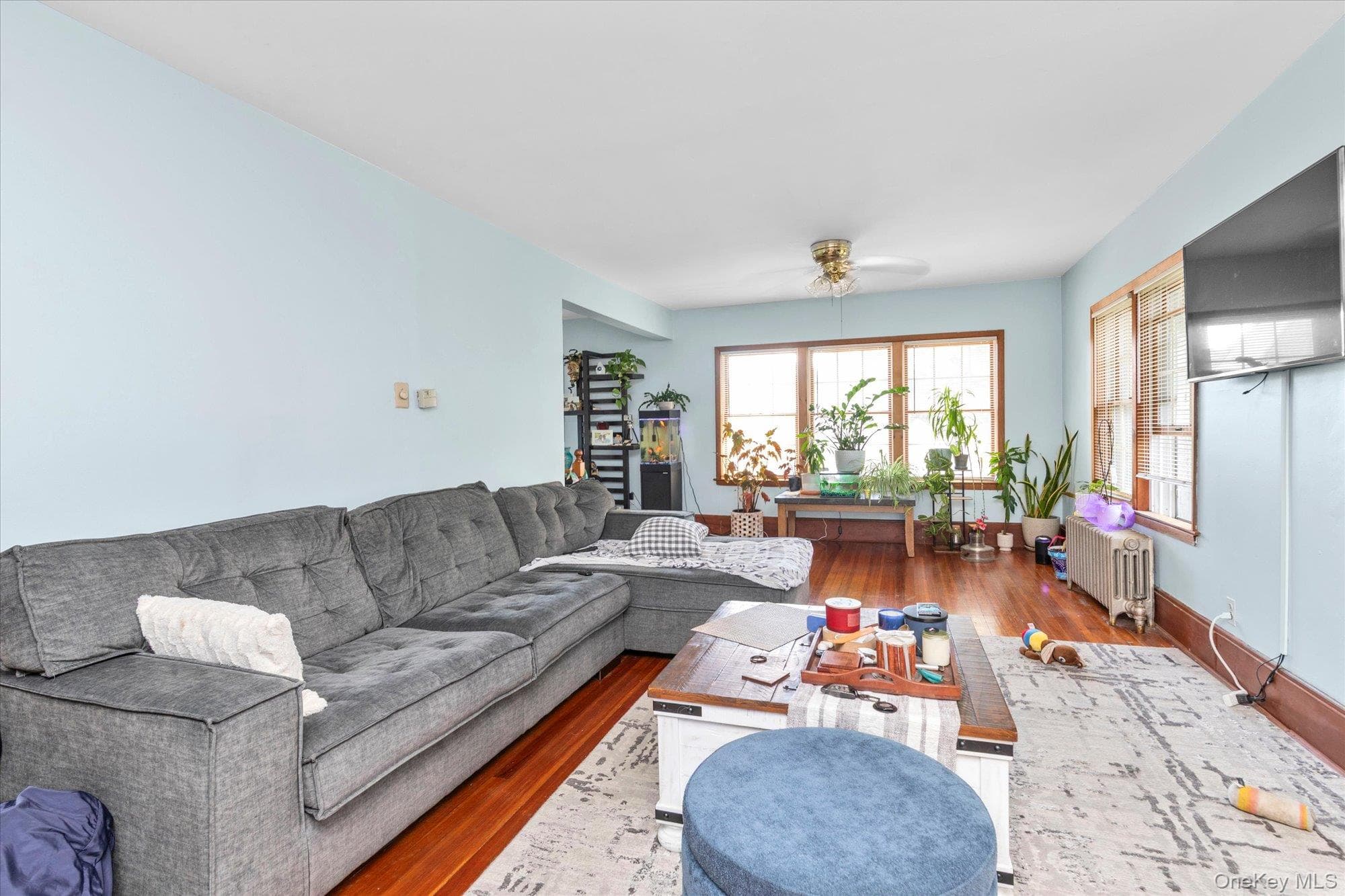 343 Roslyn Avenue thumbnail 7