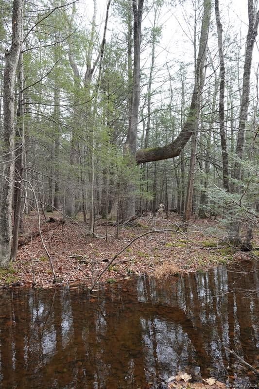 738 Manorville Road thumbnail 6