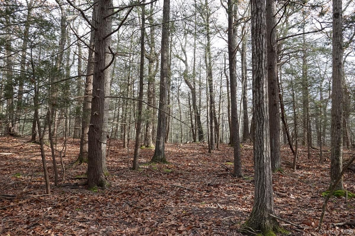 738 Manorville Road thumbnail 13