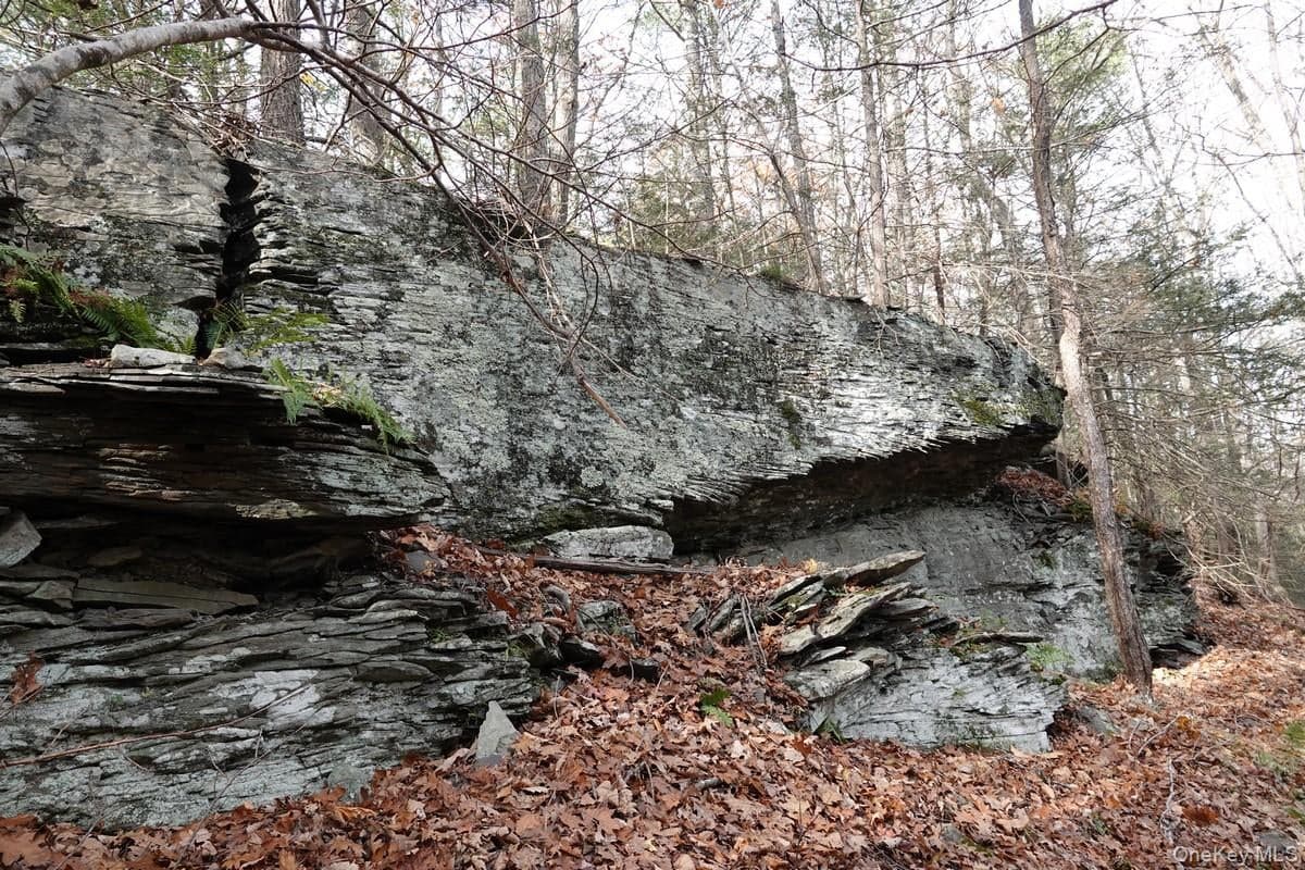 738 Manorville Road thumbnail 10