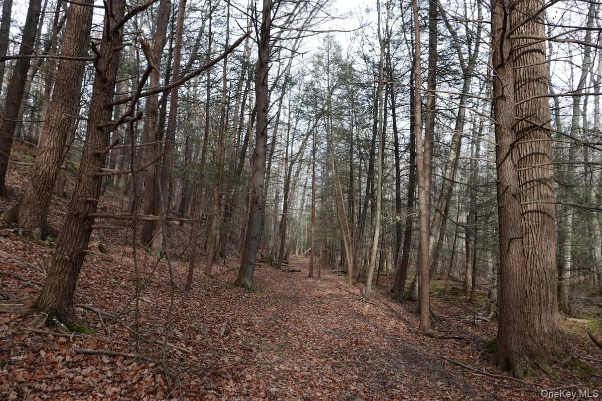 738 Manorville Road thumbnail 3