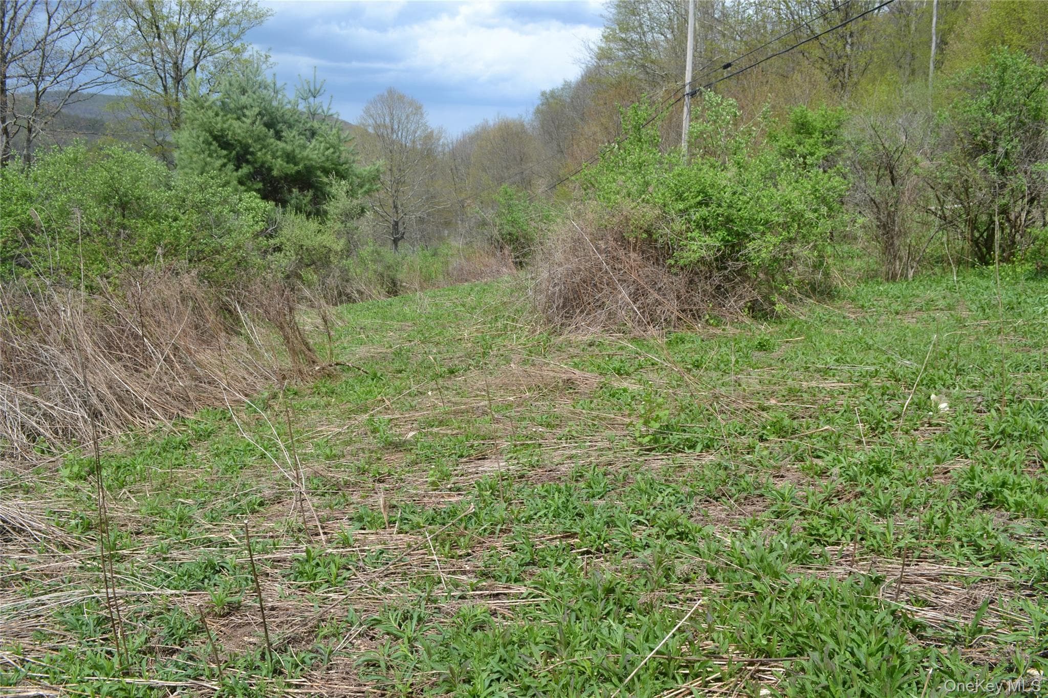 756 County Highway 21 thumbnail 30