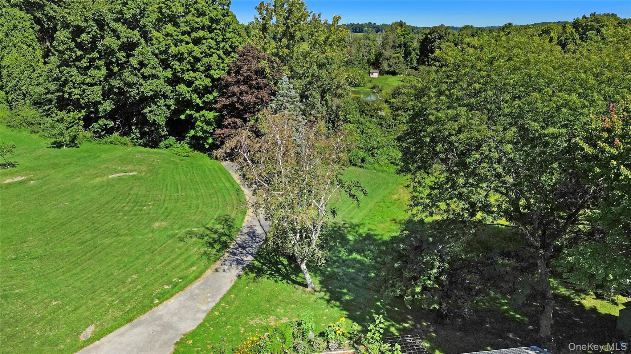 1 Kerr Road thumbnail 34