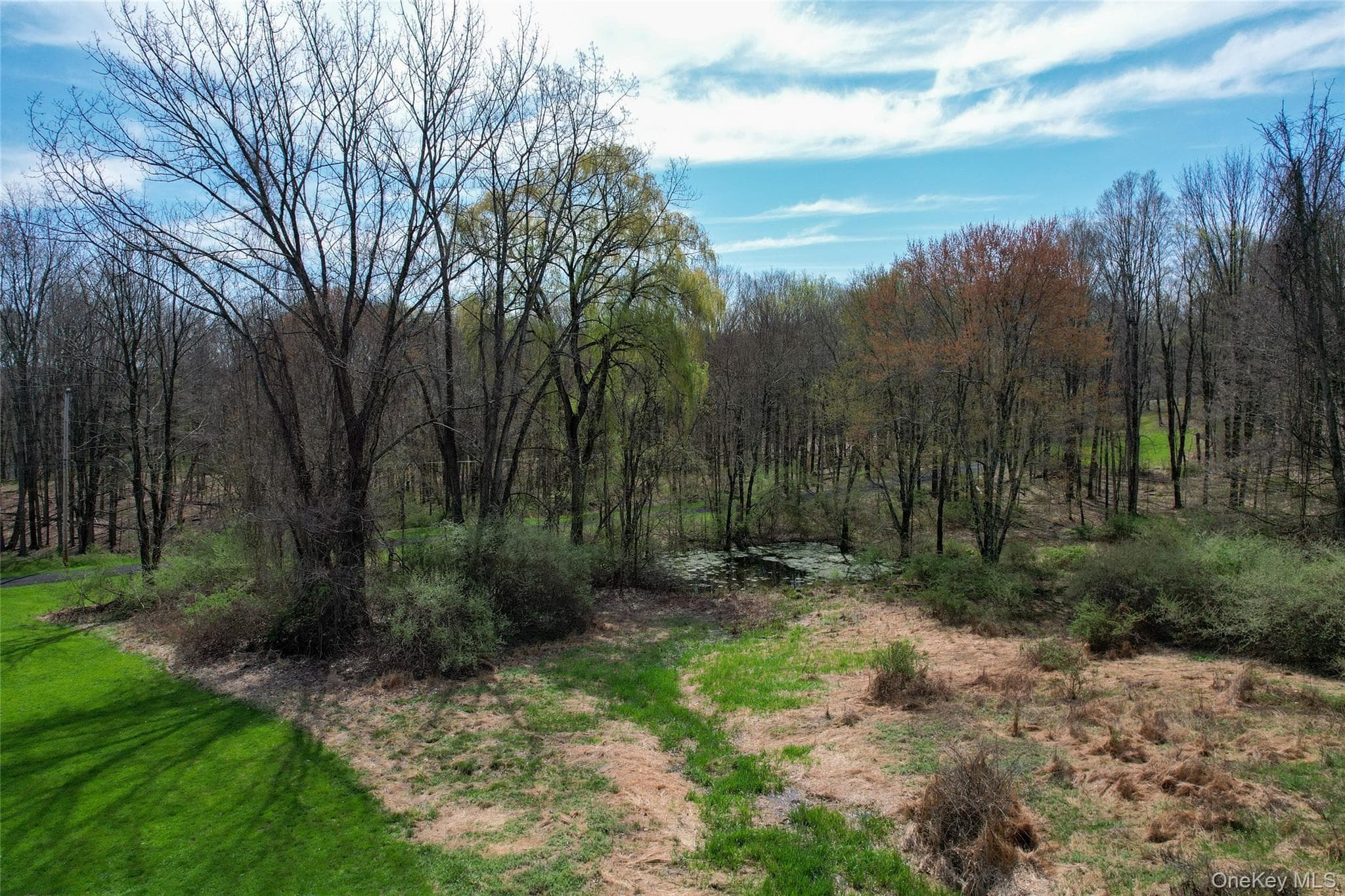 176 Williams Road thumbnail 37