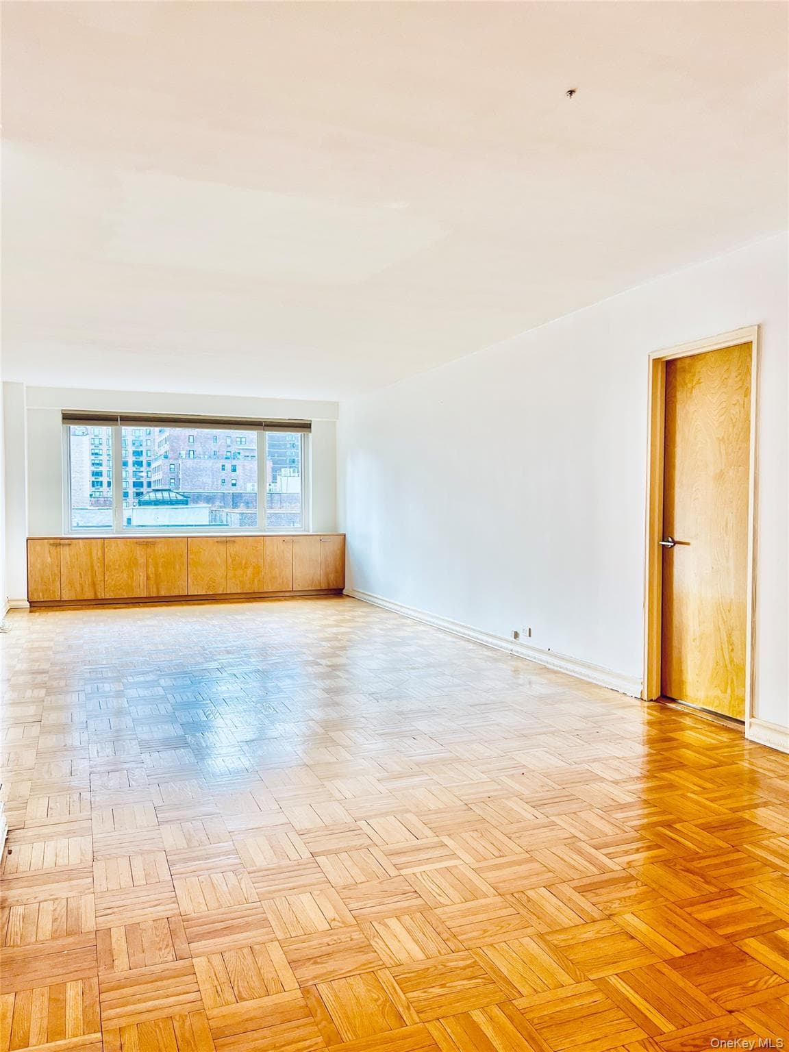 411 E 53rd Street Unit: 8L thumbnail 18
