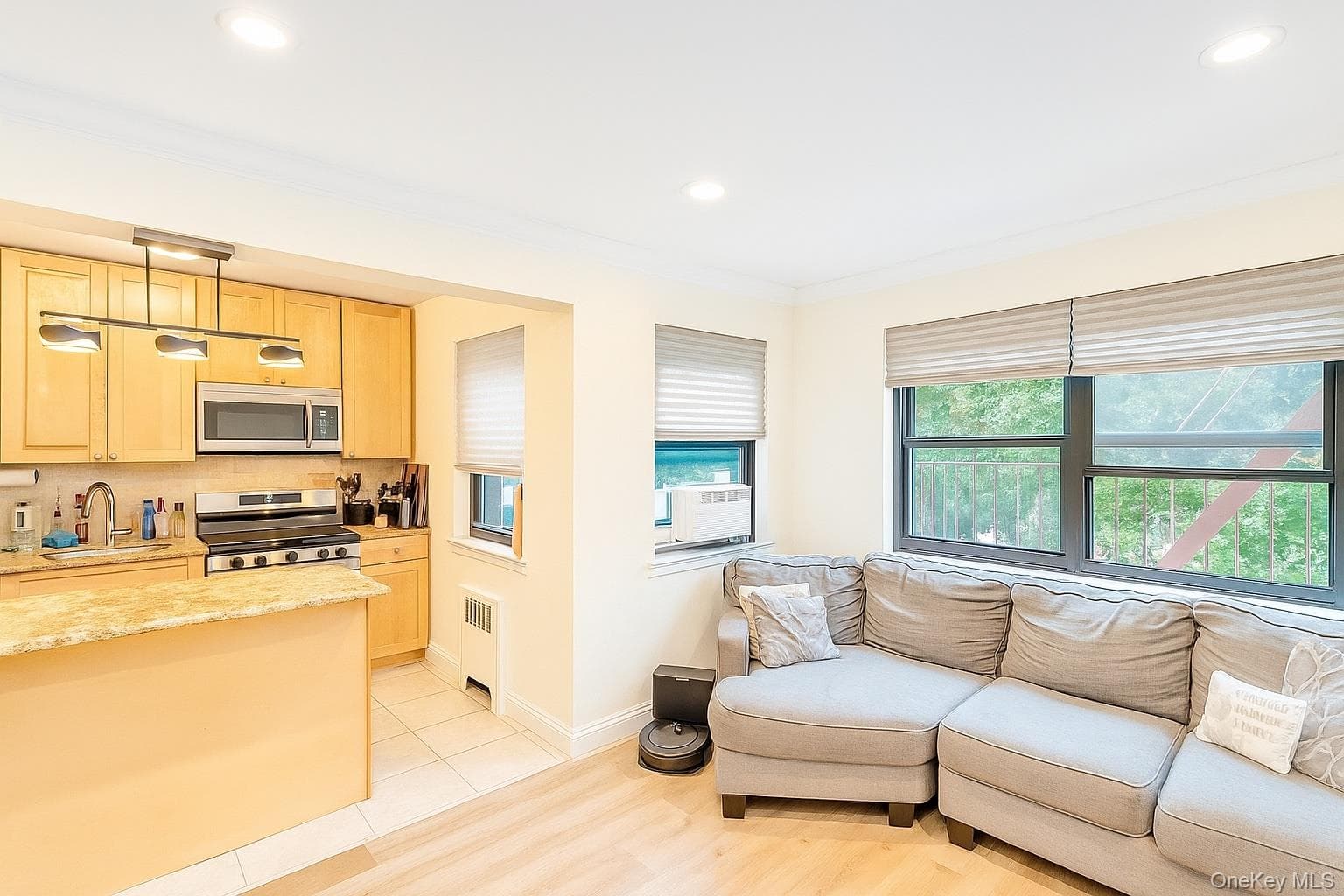 60 White Oak Street Unit: 2-H thumbnail 9
