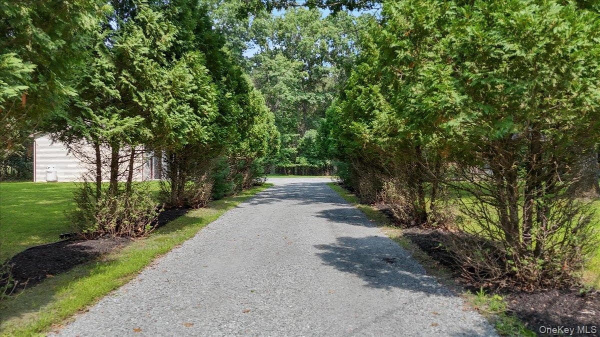 55 Somarelli Road thumbnail 8