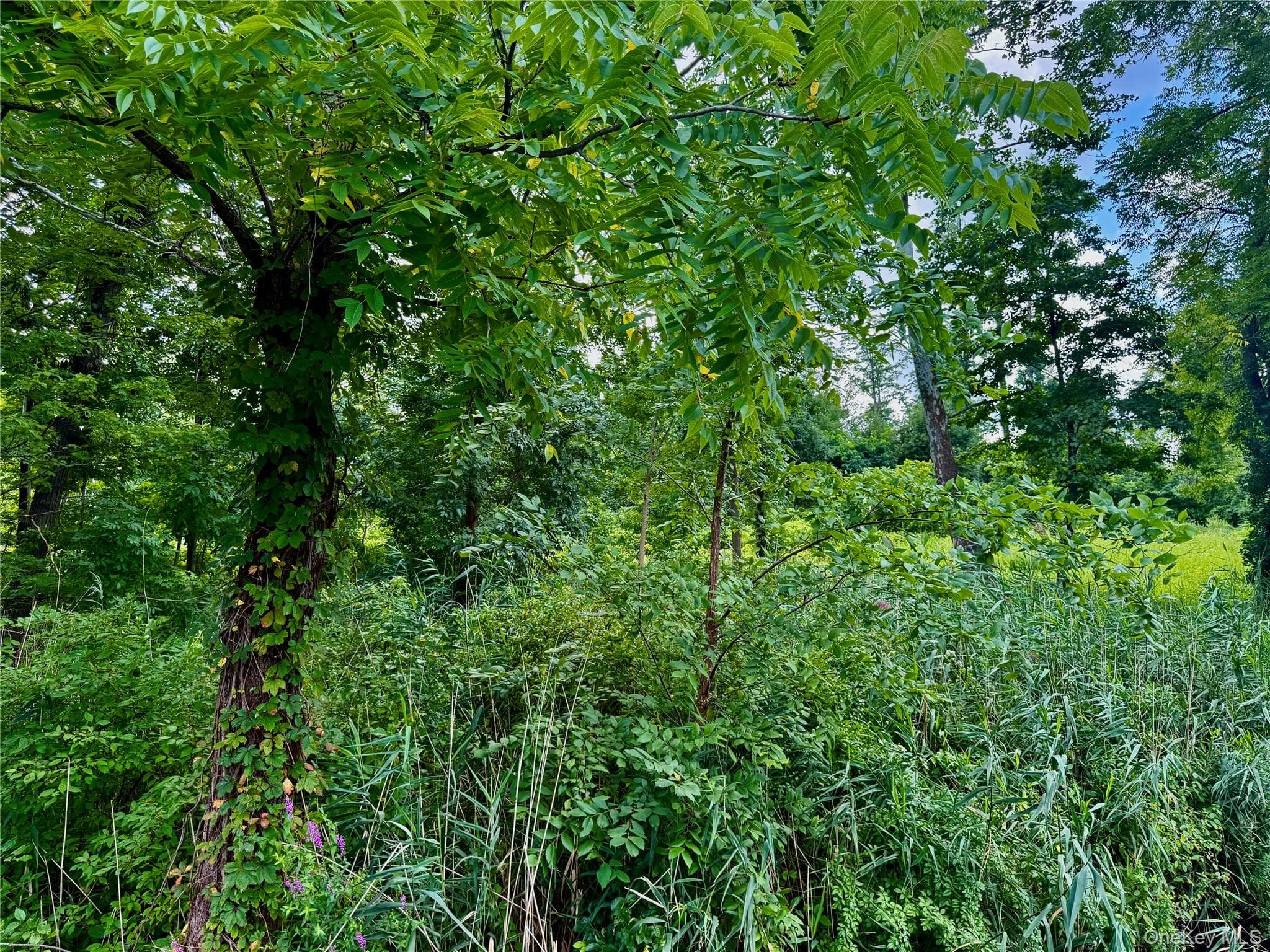 26 Fishkill Hook Road thumbnail 7