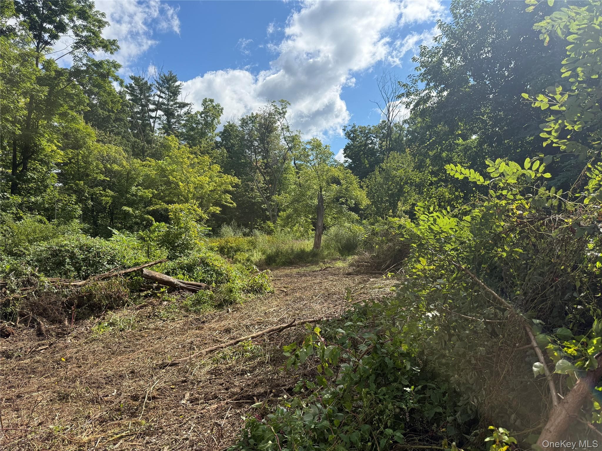 26 Fishkill Hook Road thumbnail 4