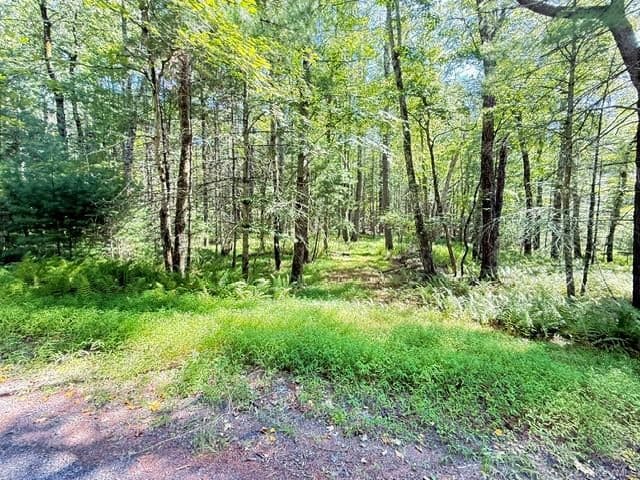 Lot 3.18 Fish Cabin Road thumbnail 2