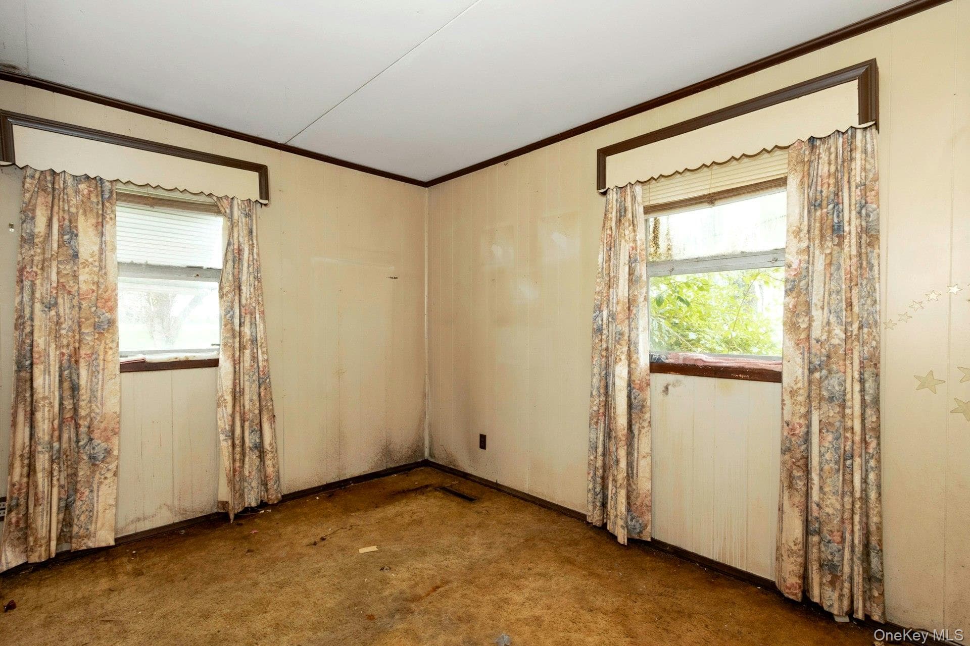 158 Violet Avenue thumbnail 18
