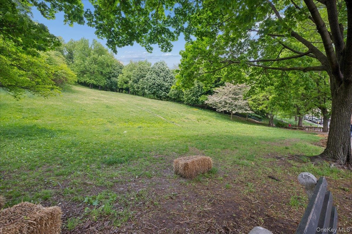 3015 Riverdale Avenue Unit: 5B thumbnail 21