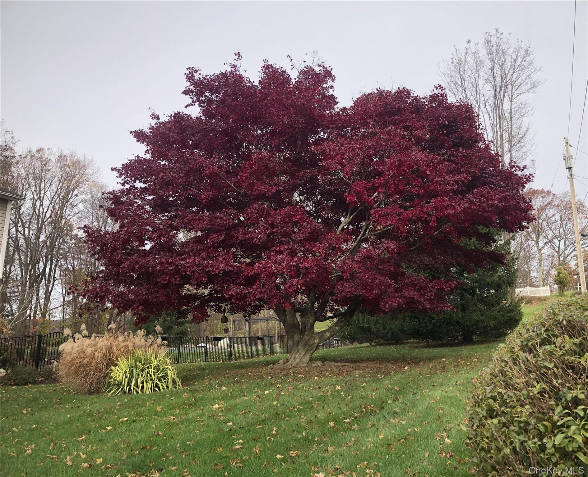 3 Pheasant Place thumbnail 5