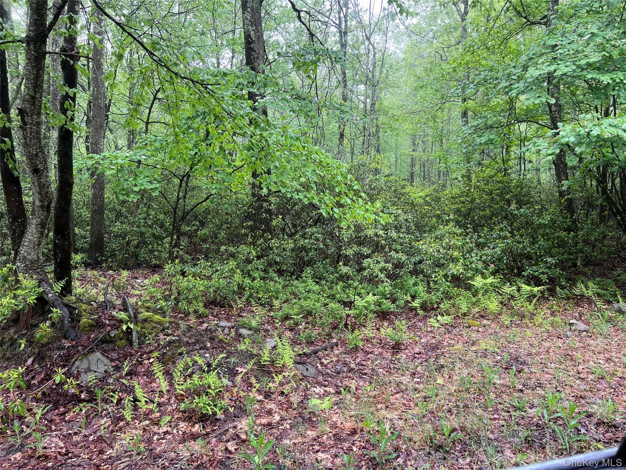 Budd Road thumbnail 7