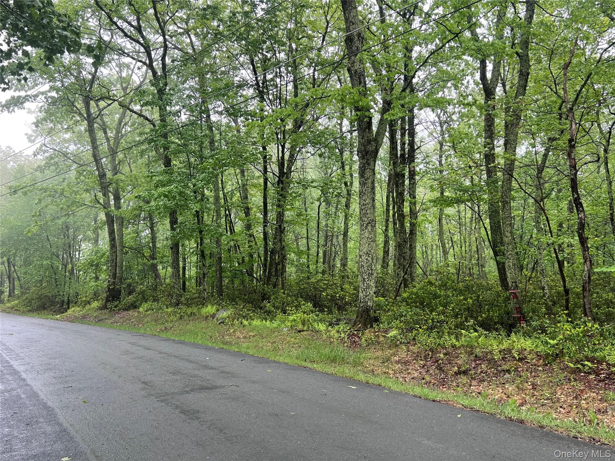 Budd Road thumbnail 9