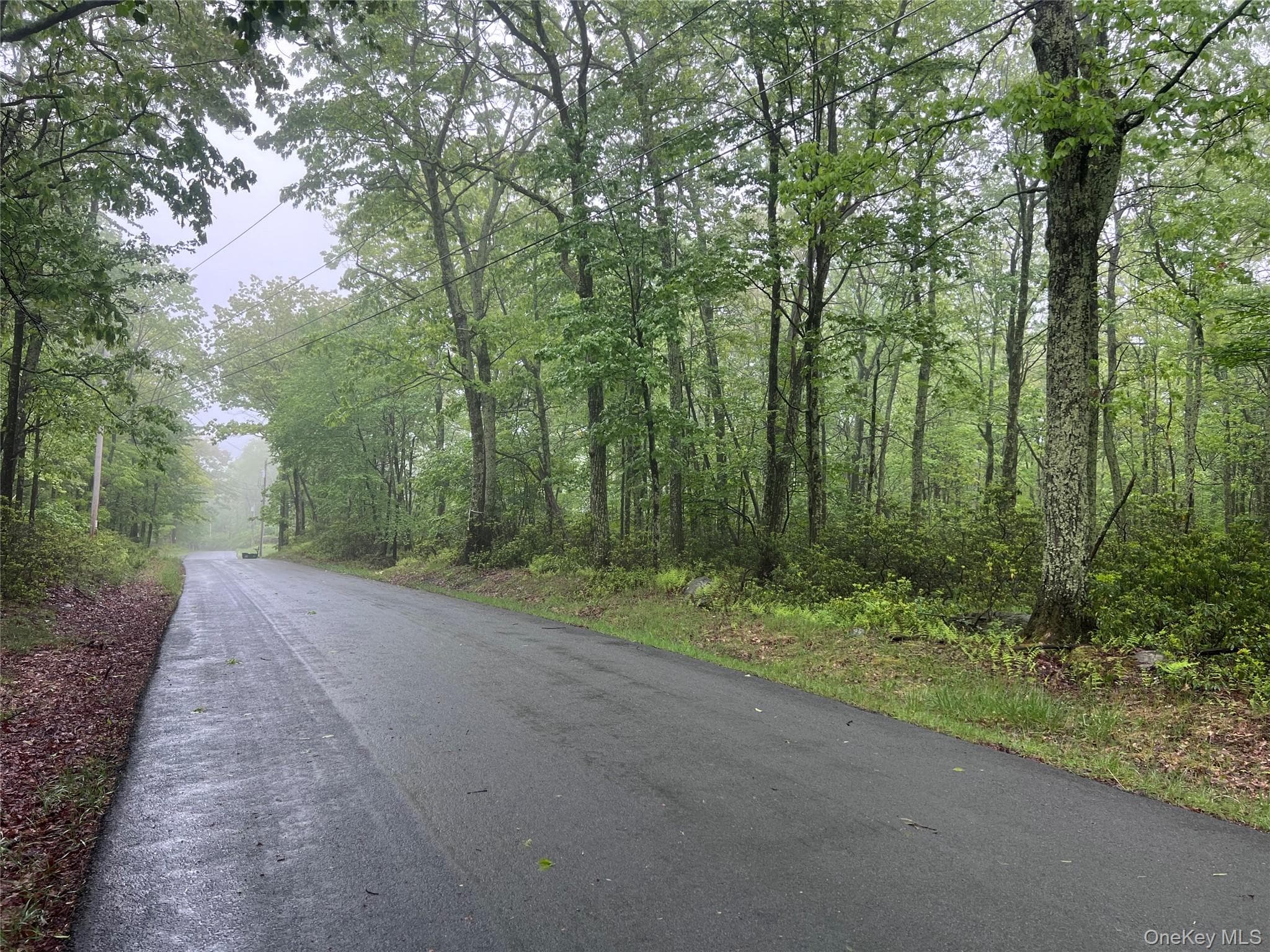 Budd Road photo 1