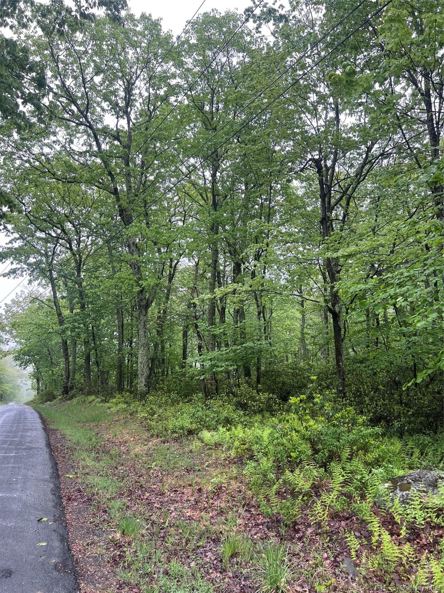Budd Road thumbnail 2