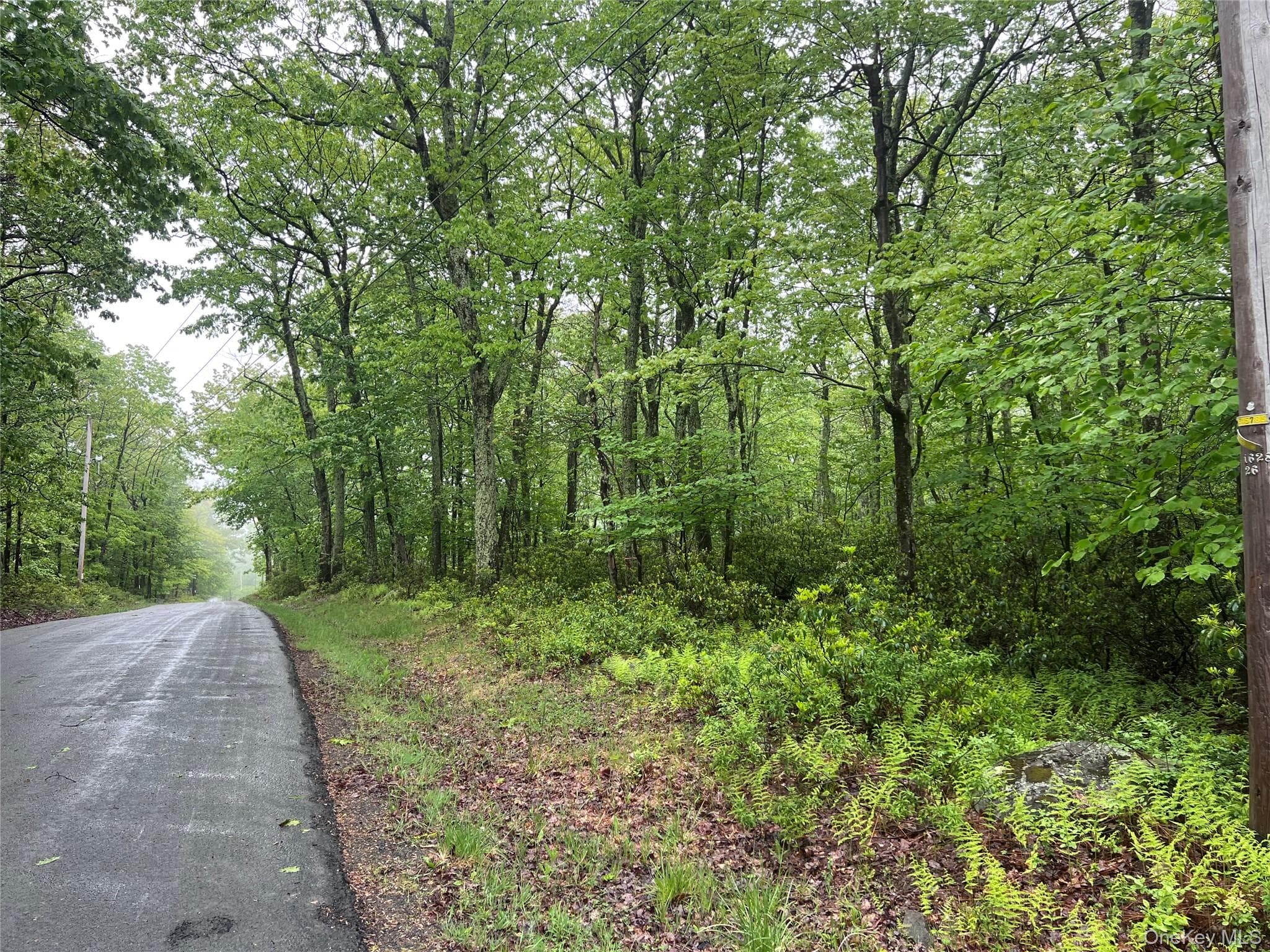 Budd Road thumbnail 4