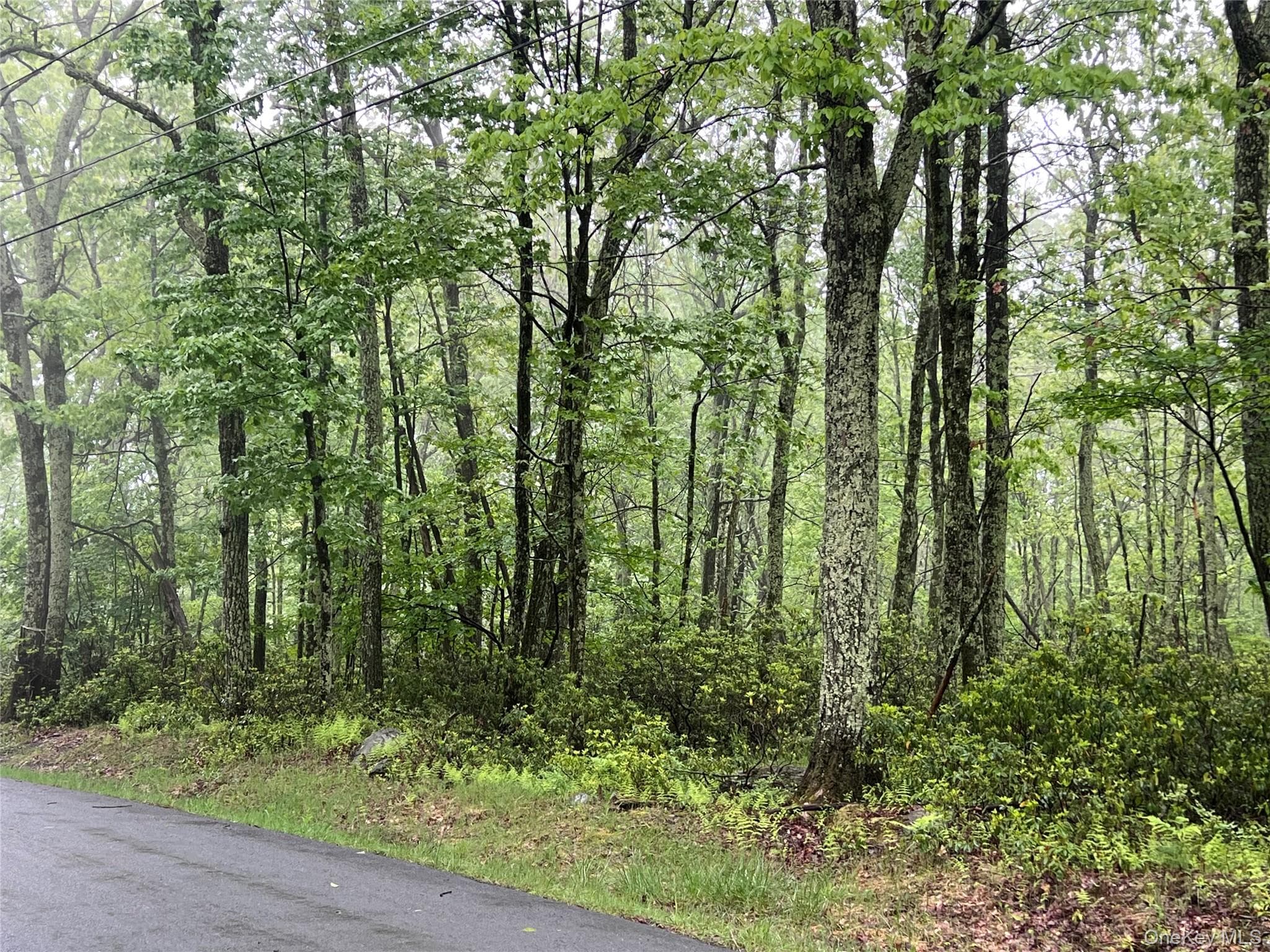 Budd Road thumbnail 3
