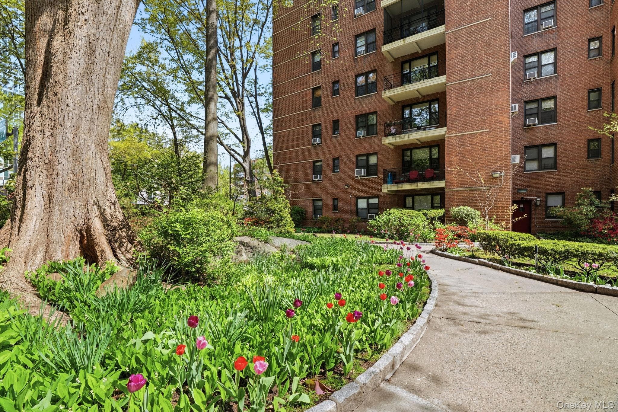 3616 Henry Hudson Pkway N Pkwy Unit: 3IN thumbnail 36