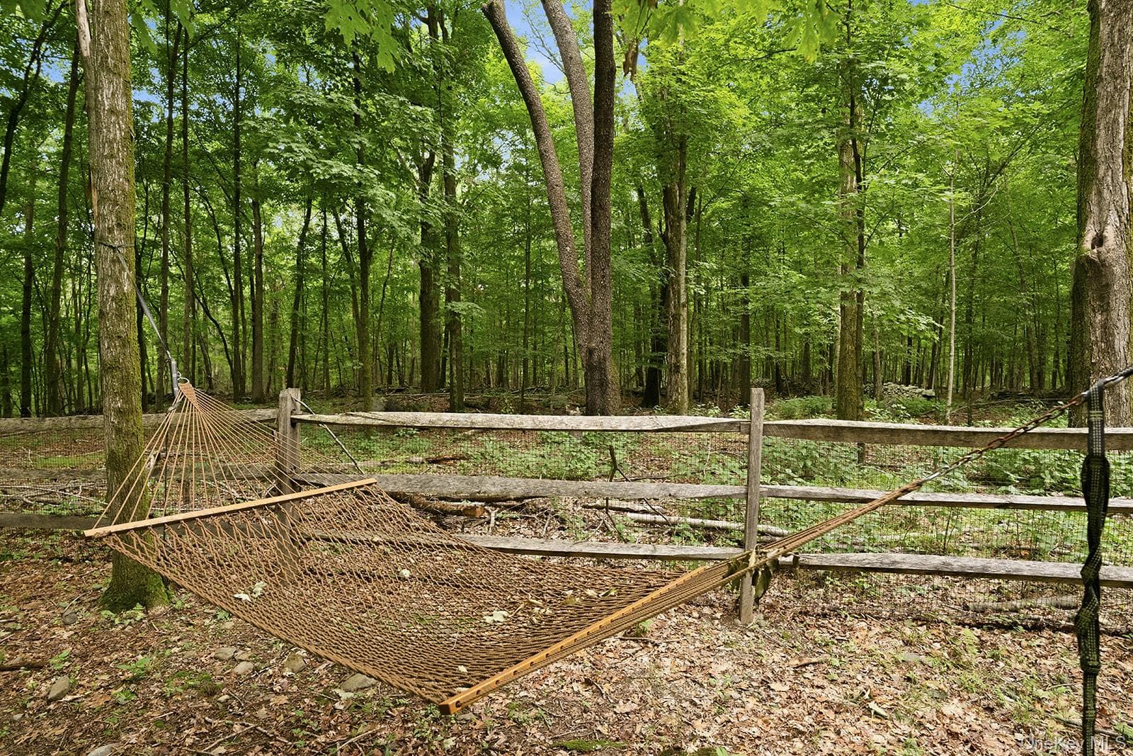 252 Vly Atwood Road thumbnail 36