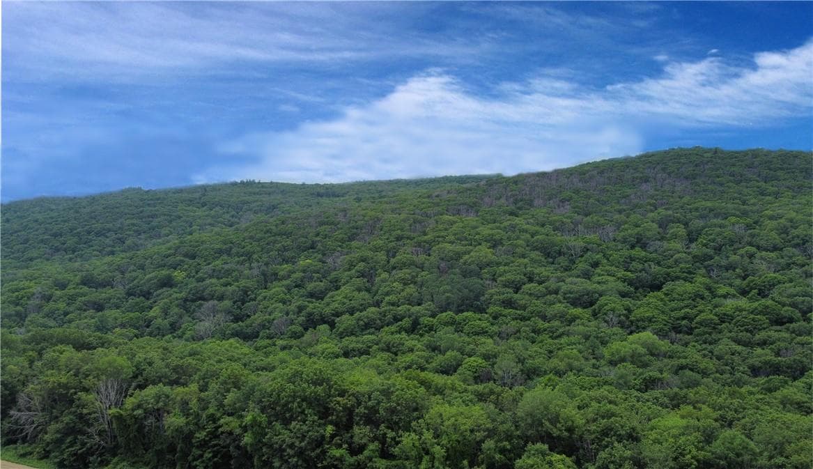 Cascade Mountain Road photo 1