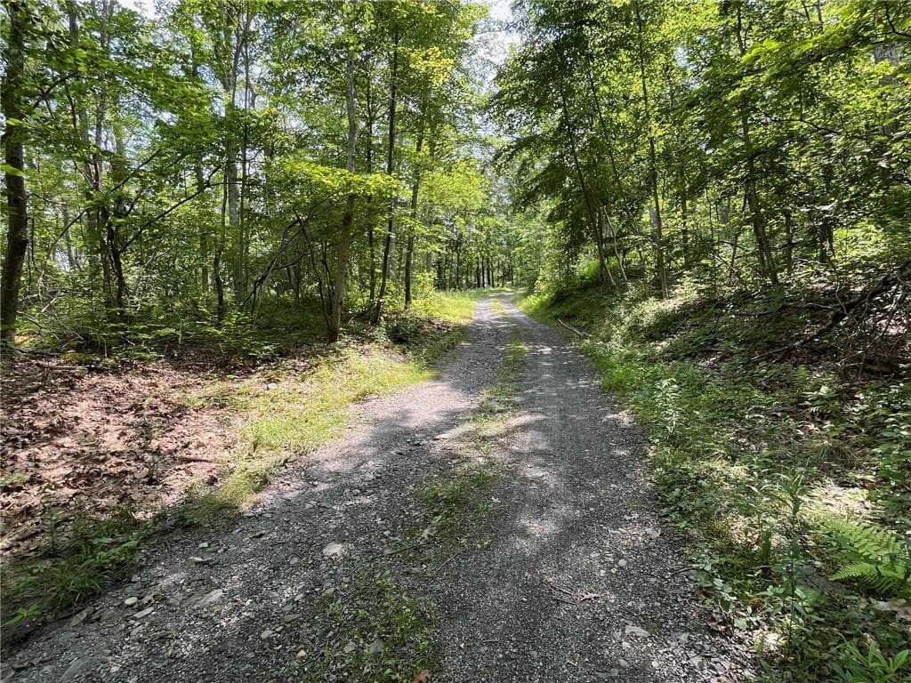 Cascade Mountain Road thumbnail 10